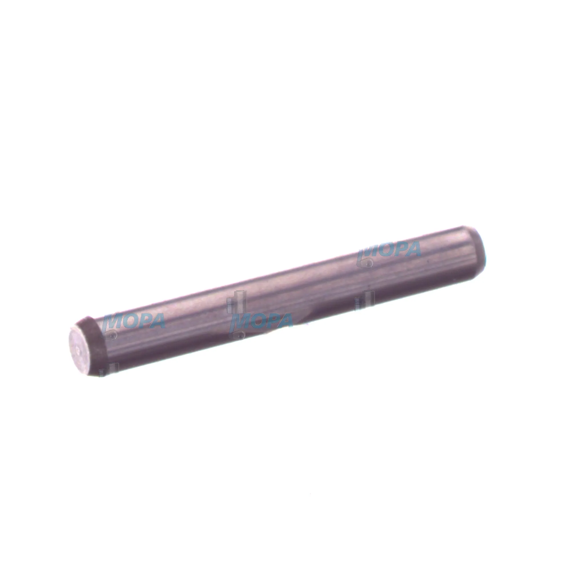 THRUST PIN - 2443100000 suitable for Bosch engines 2
