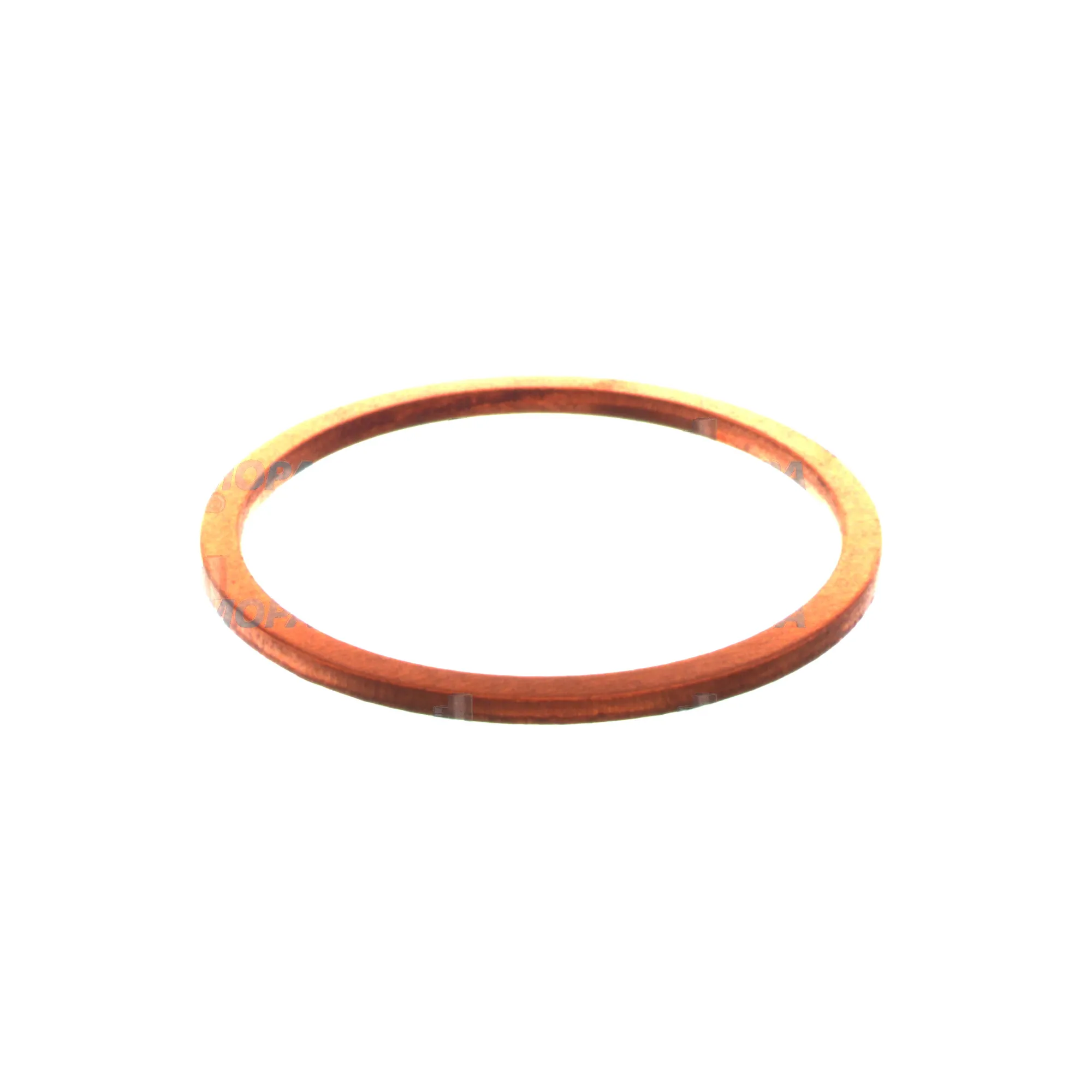 DICHTRING - 2916710637 passend für Bosch Motoren 2