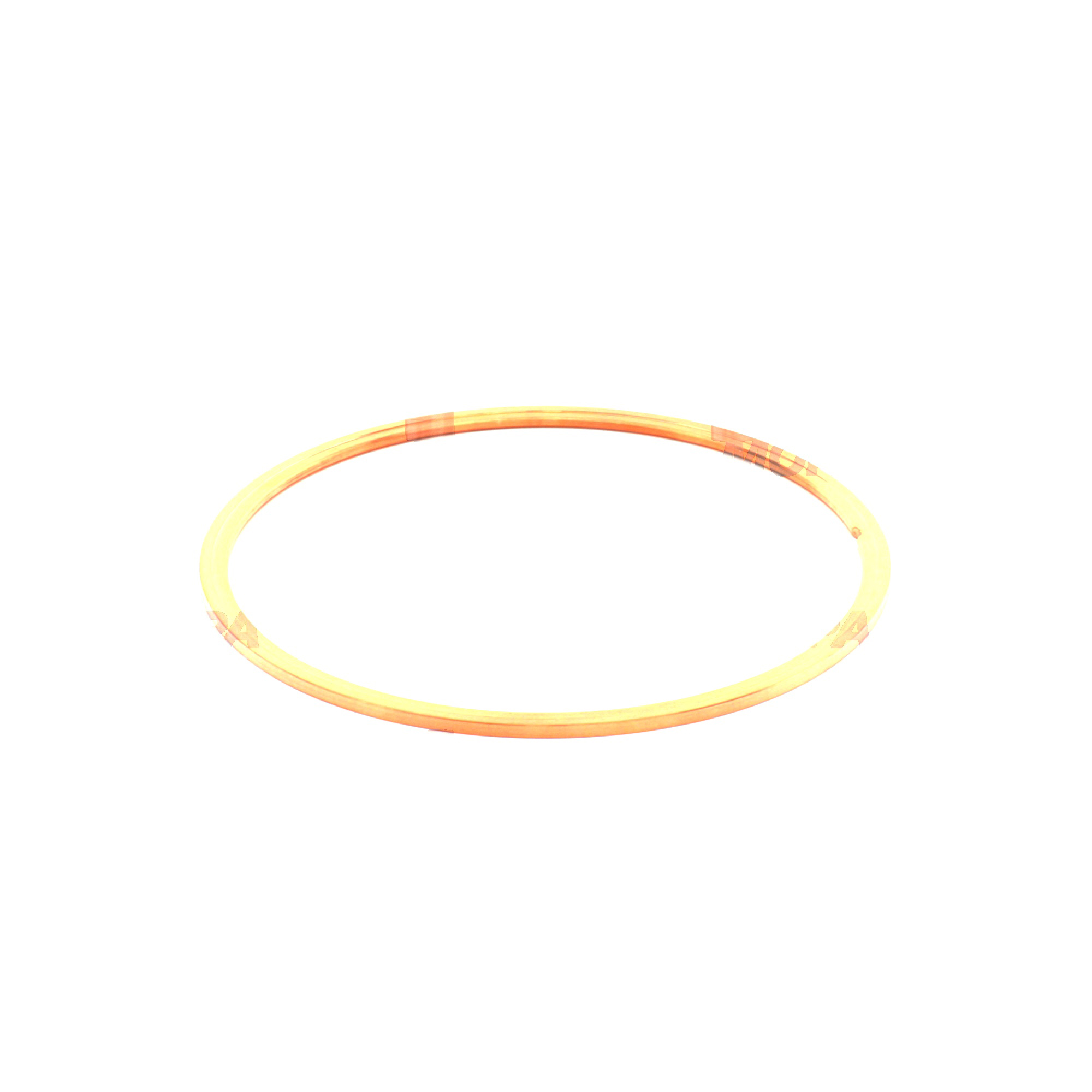 DICHTRING - 5800162319 passend für MTU Motoren