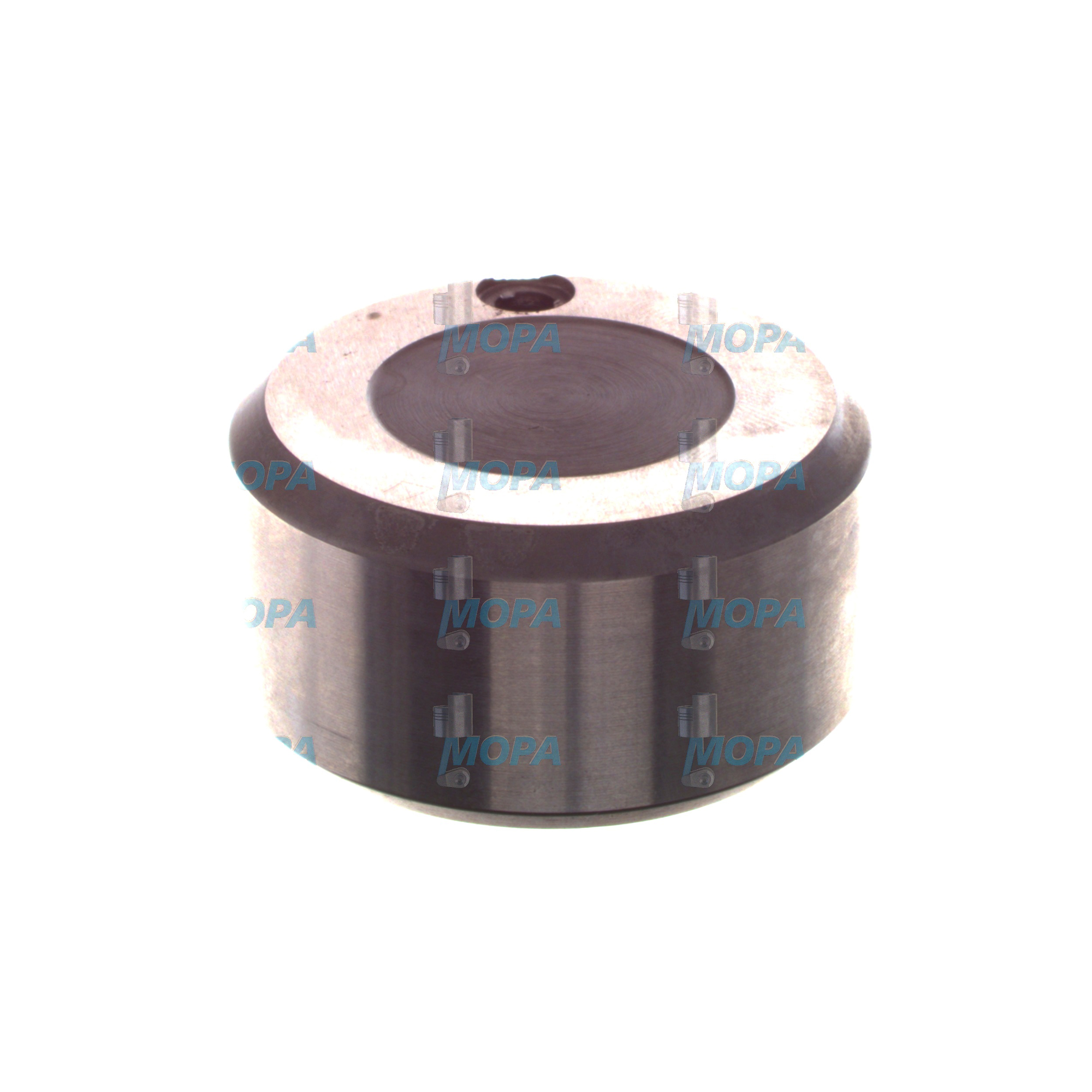 FLYWEIGHT - 5500700260 suitable for MTU engines