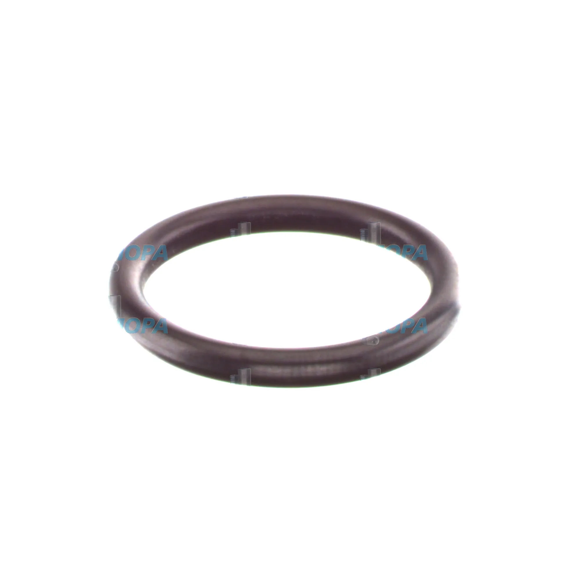 DICHTRING - 5419970545 passend für MTU Motoren 6