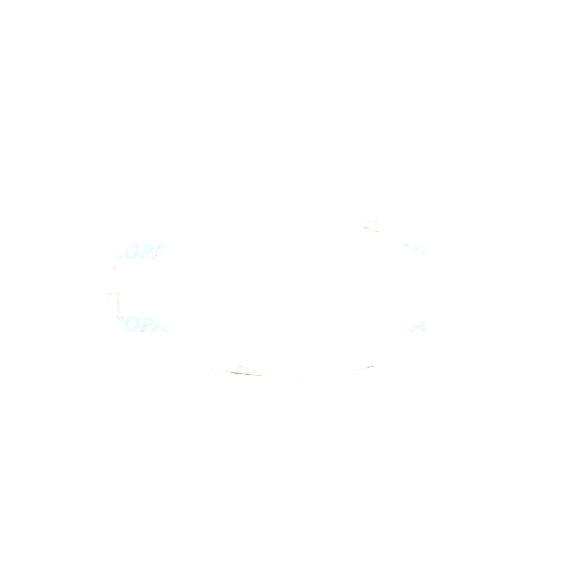 SHIM RING - 8692040113 suitable for MTU engines 3