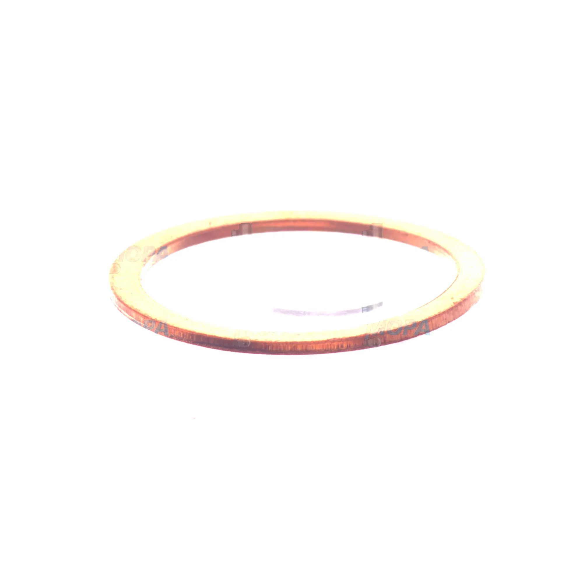 SEALING RING - 1230203001 suitable for Bosch engines 8