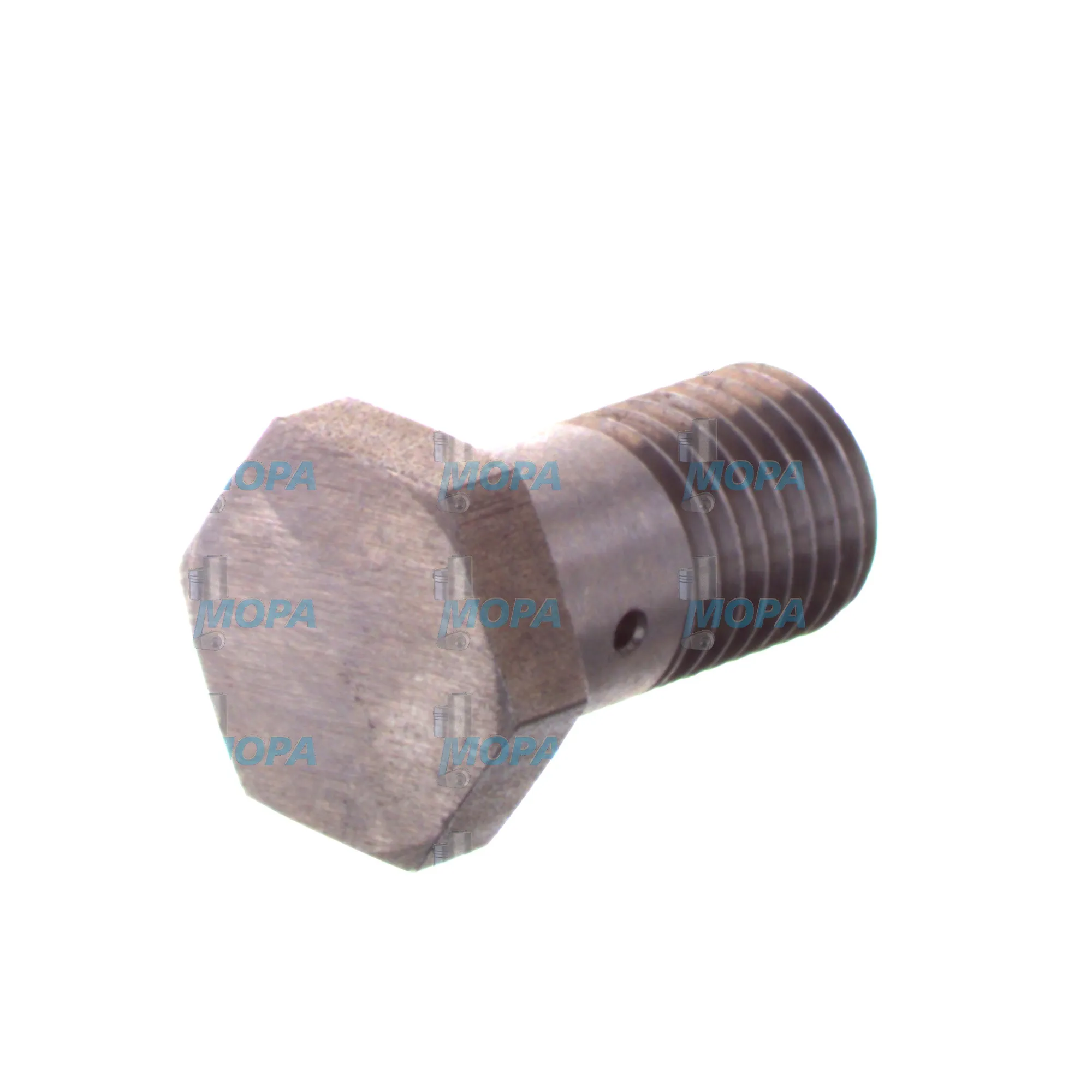 HOLLOW SCREW - 12029990 suitable for MWM & Deutz engines 10