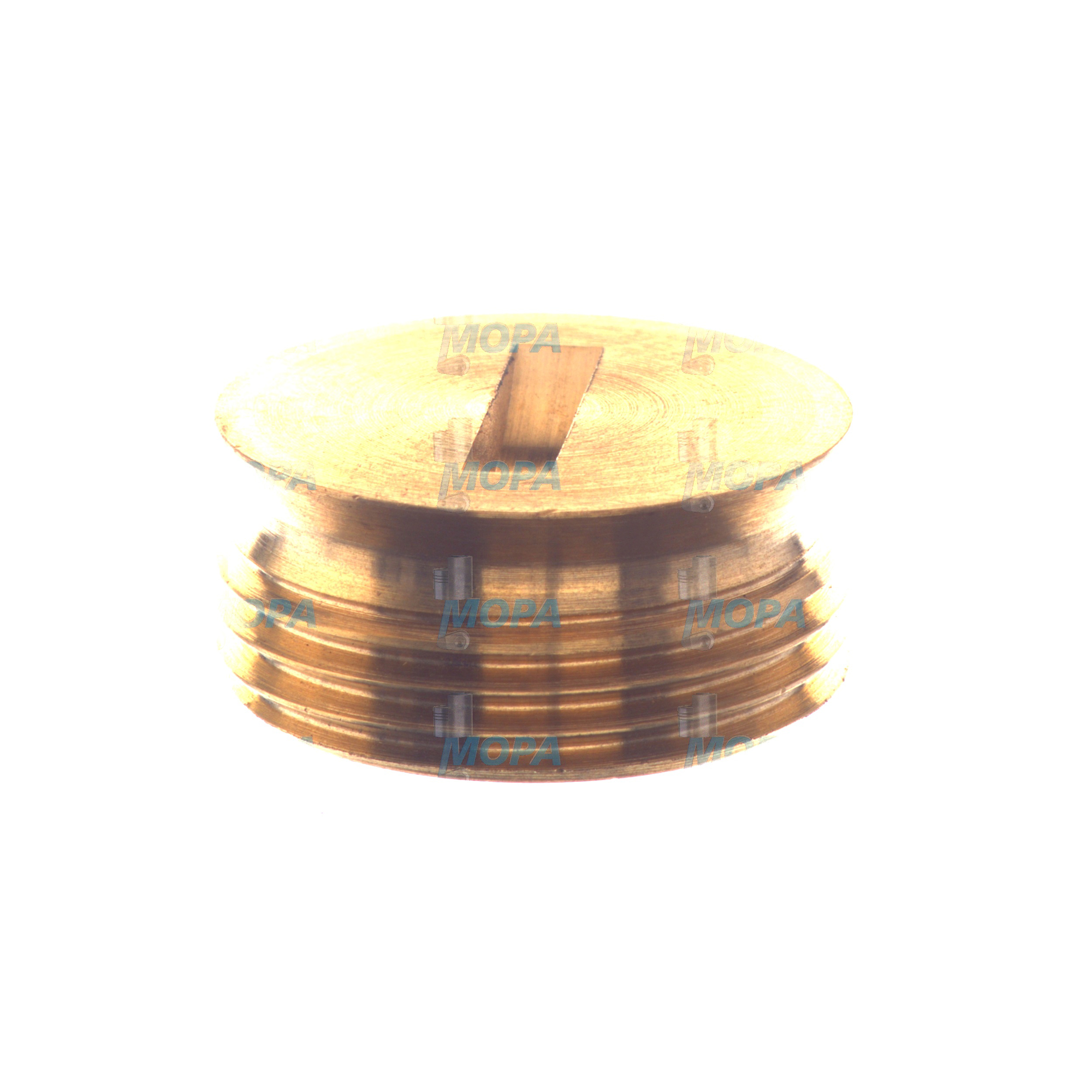 SCHLITZSTOPFEN - 01166977 passend für Deutz Motoren