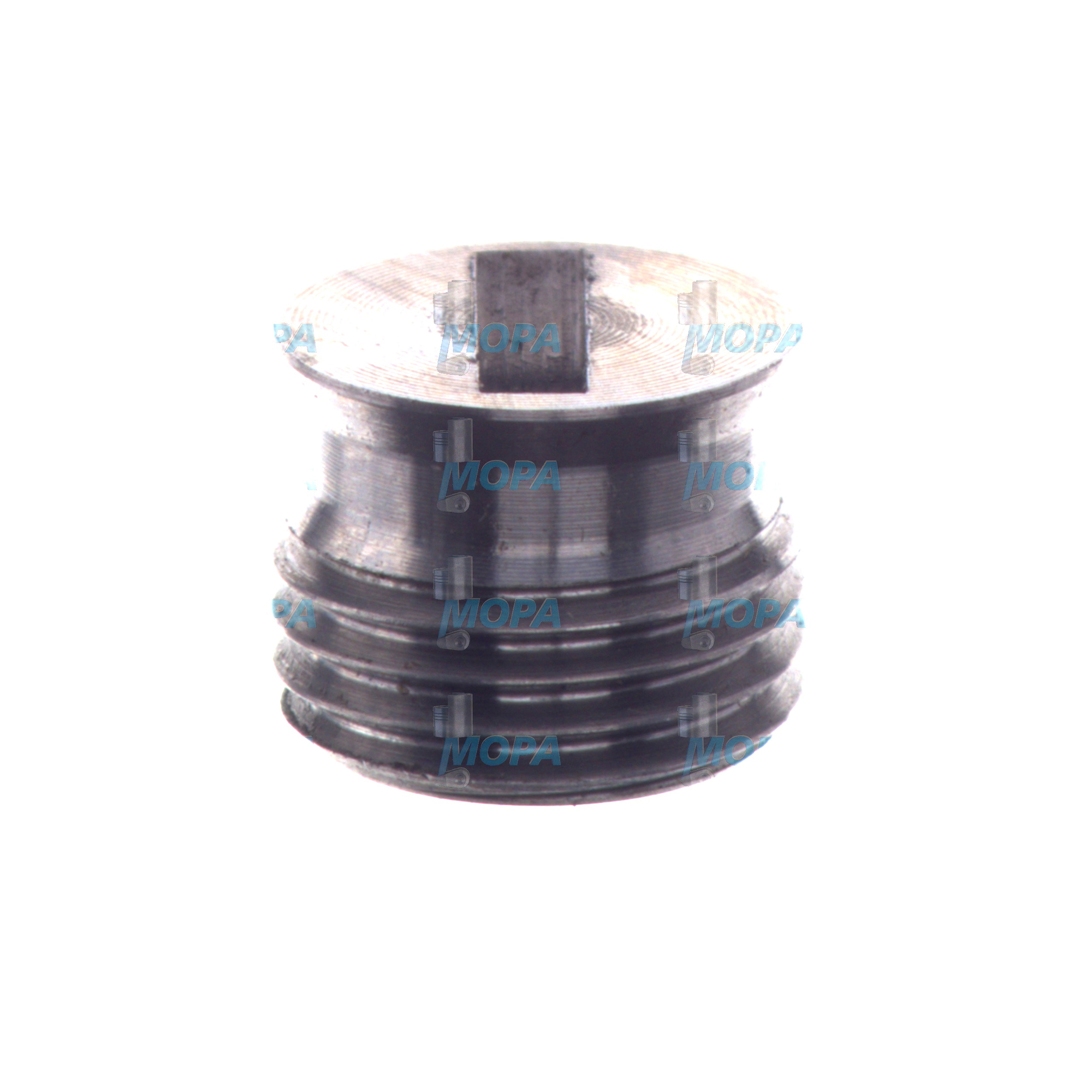 SCHLITZSTOPFEN - 01169657 passend für MWM & Deutz Motoren