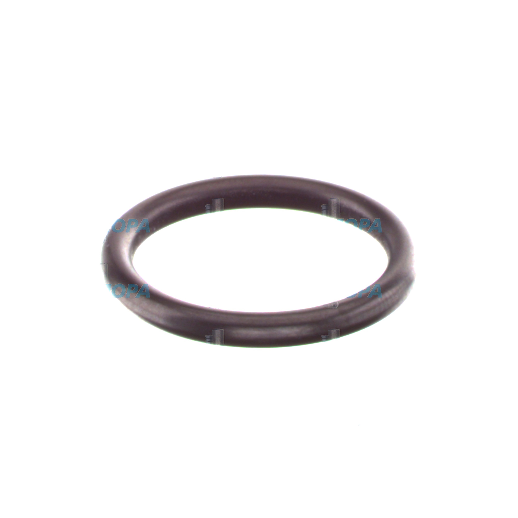 DICHTRING - 5419970545 passend für MTU Motoren