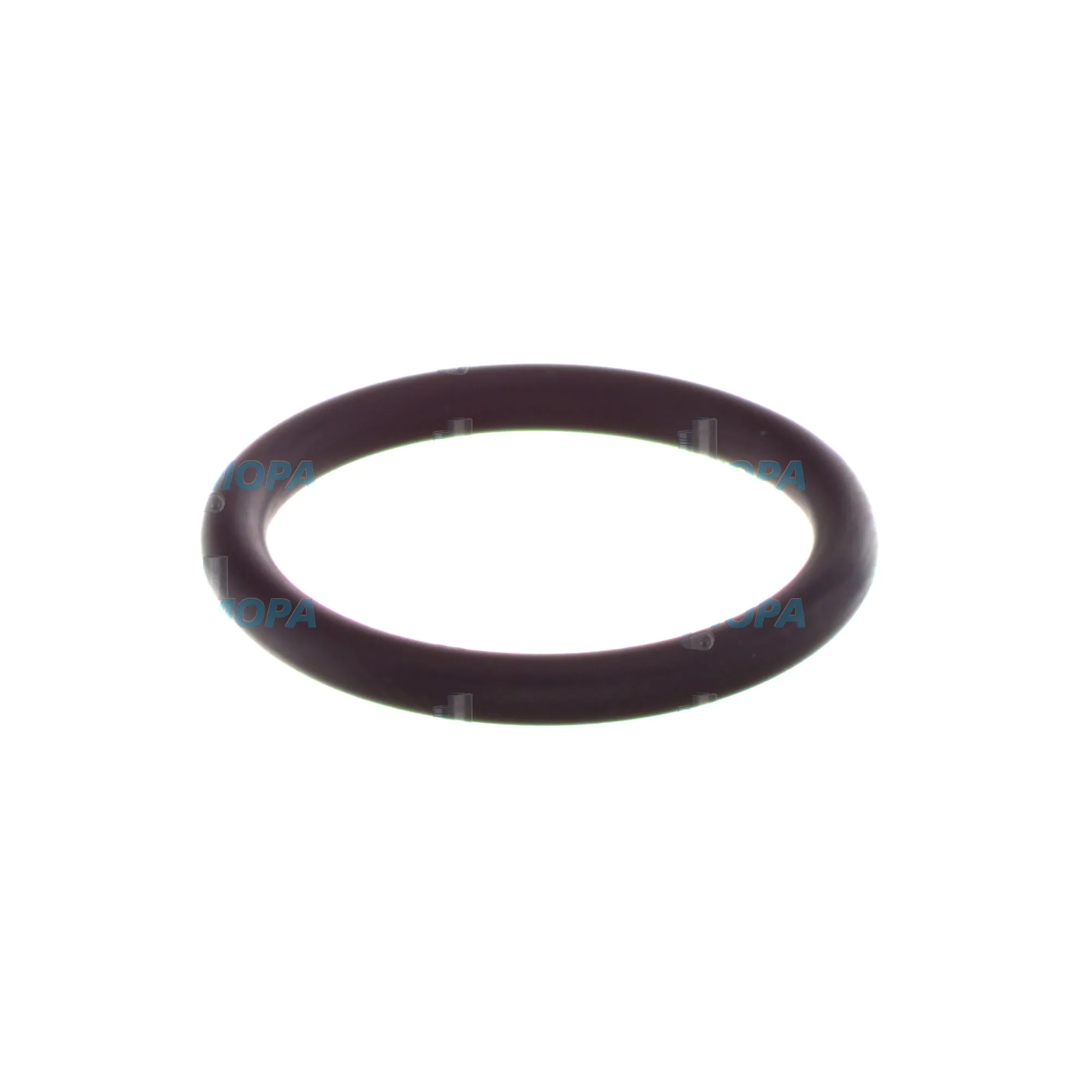 TORIC SEAL - 1810210200 suitable for Bosch engines 2