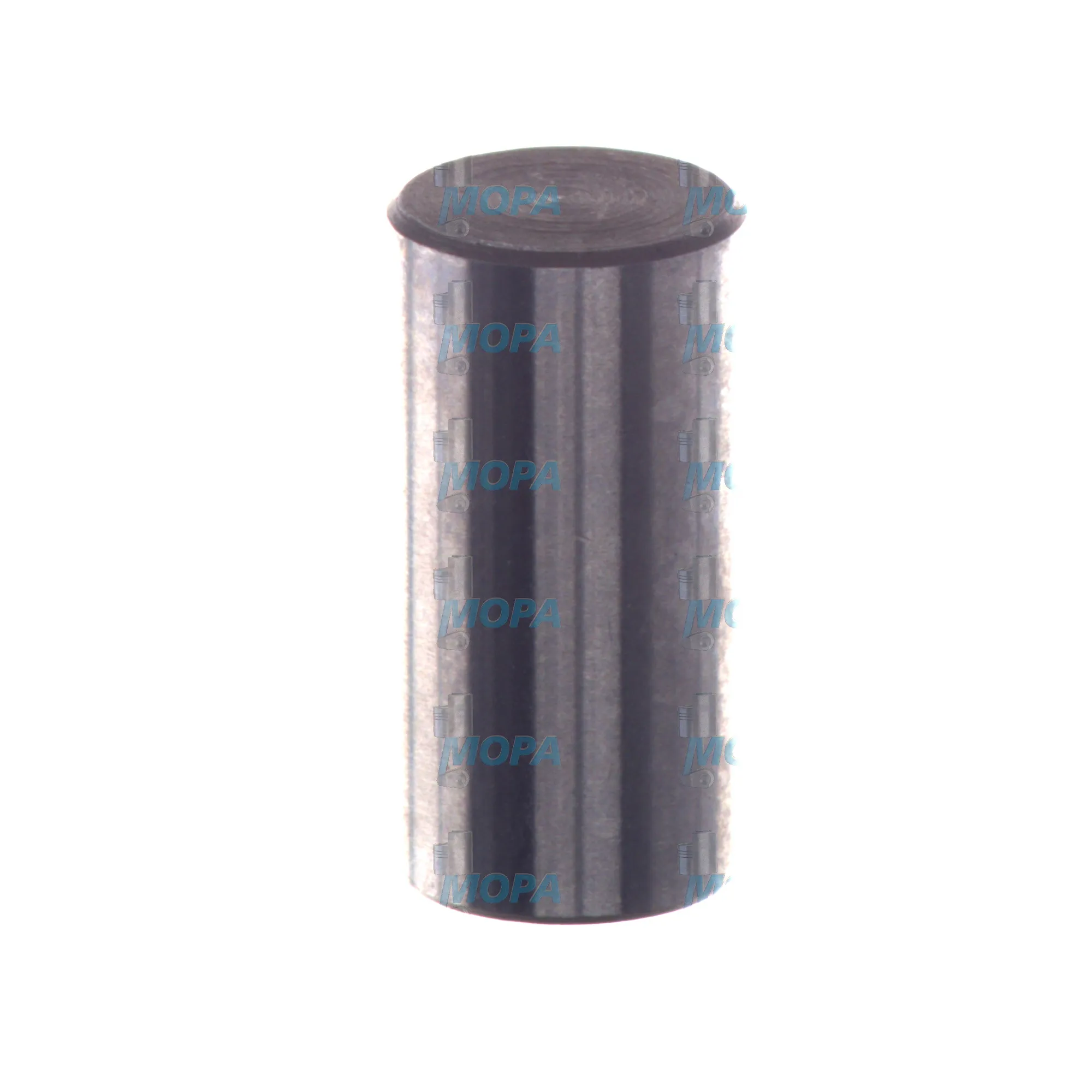BOLZEN - 2443100015 passend für Bosch Motoren