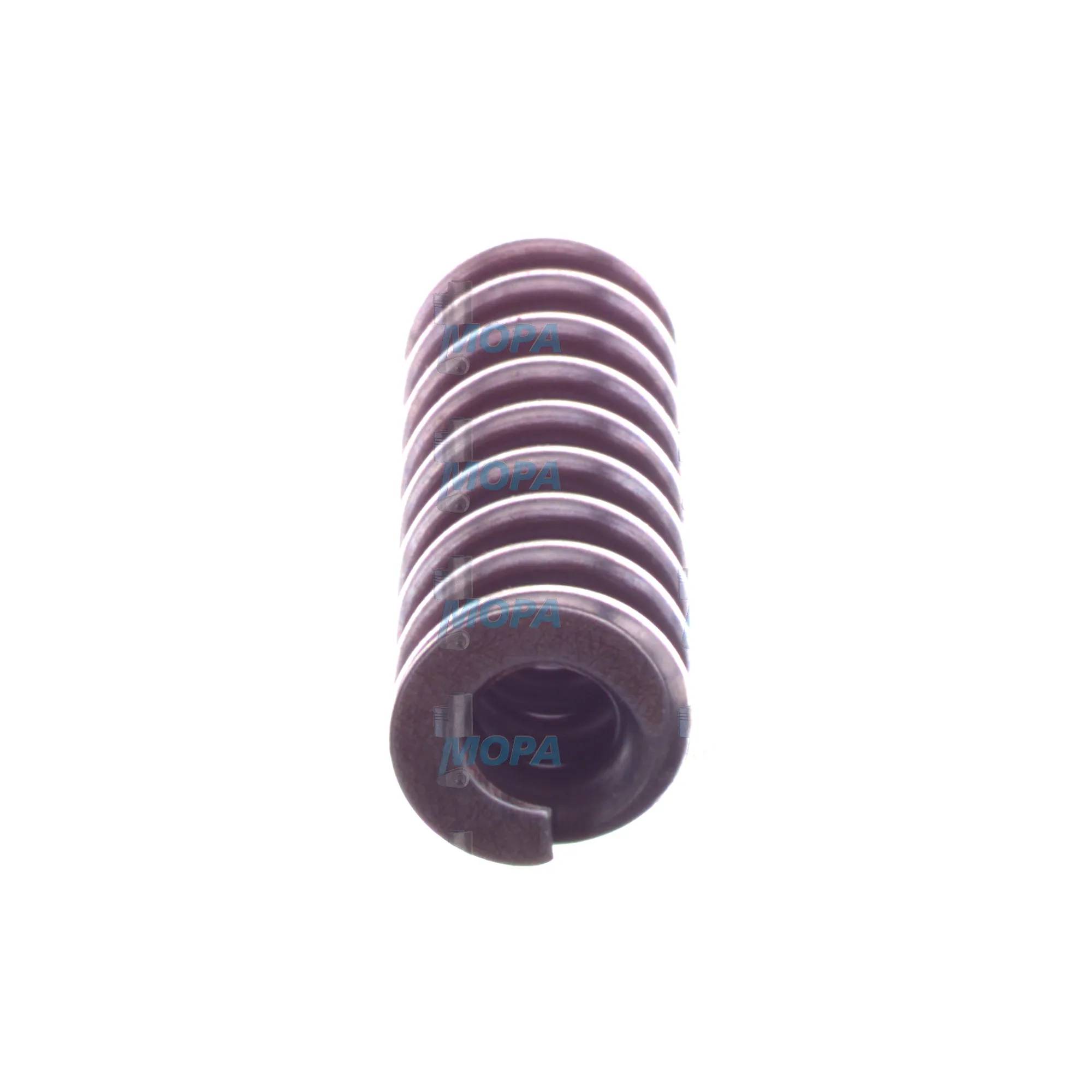 COMPRESSION SPRING - 2434619037 suitable for Bosch engines 4