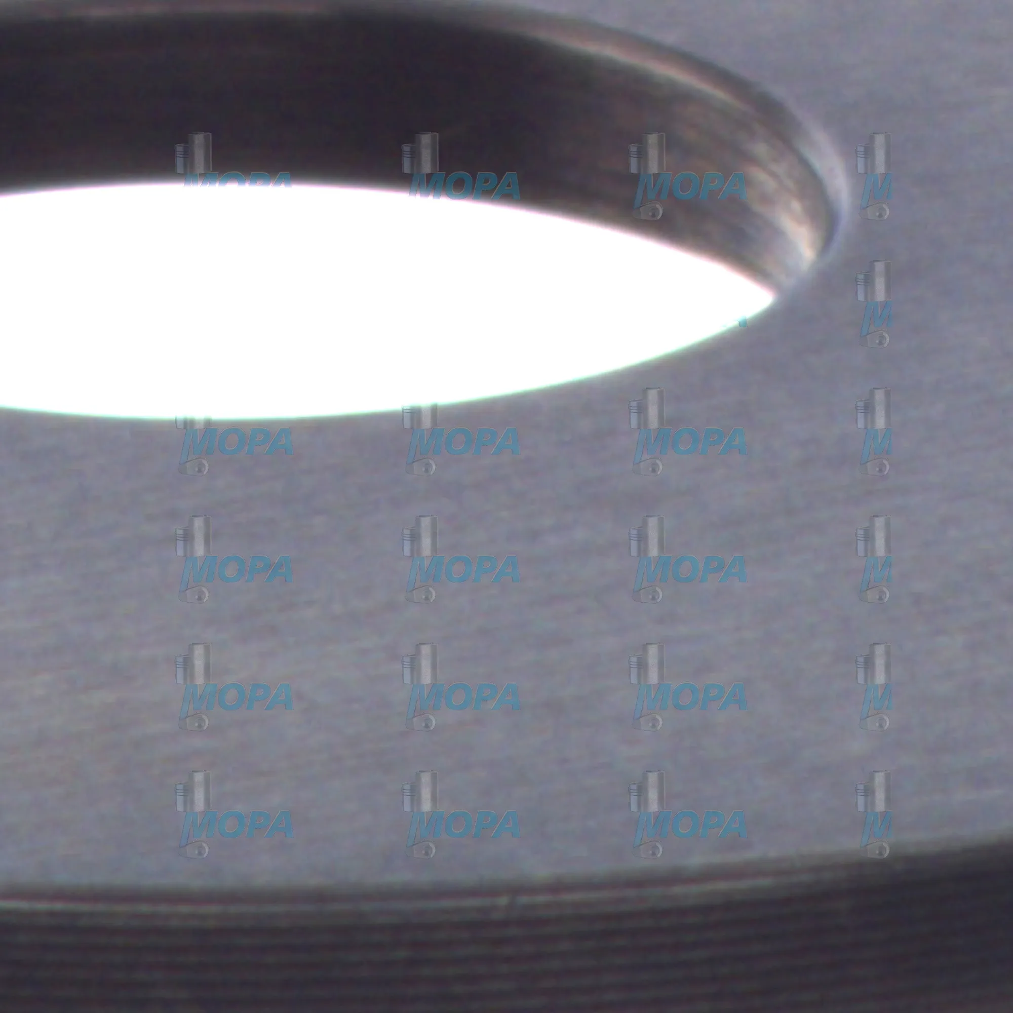 AUSGLEICHSCHEIBE - 2430100481 passend für Bosch Motoren