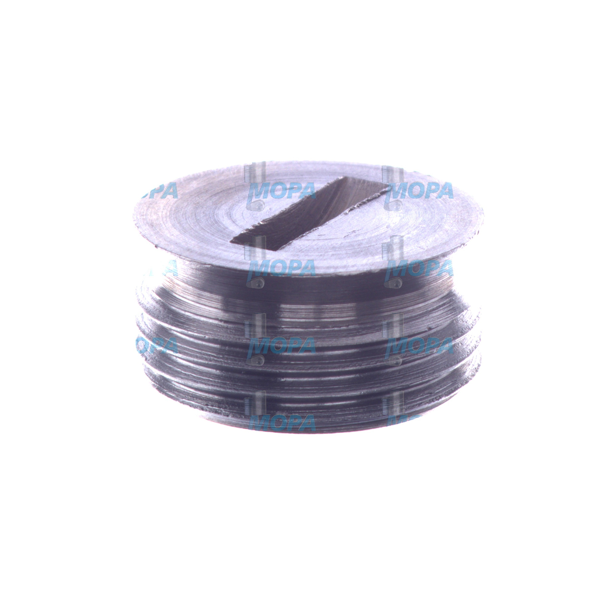 SCHLITZSTOPFEN - 01165789 passend für Deutz Motoren