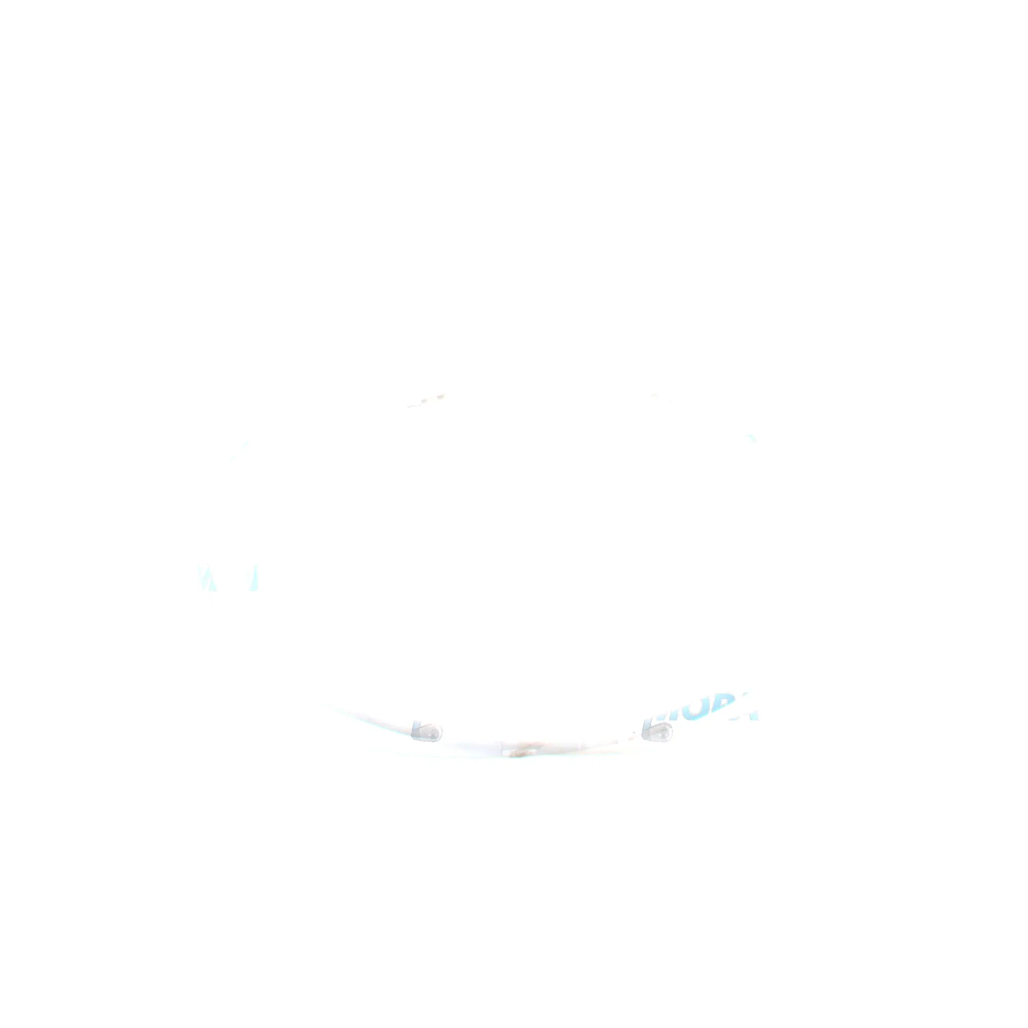 SUPPORT RING - 628/15/24/05025952 suitable for MWM & Deutz engines 2