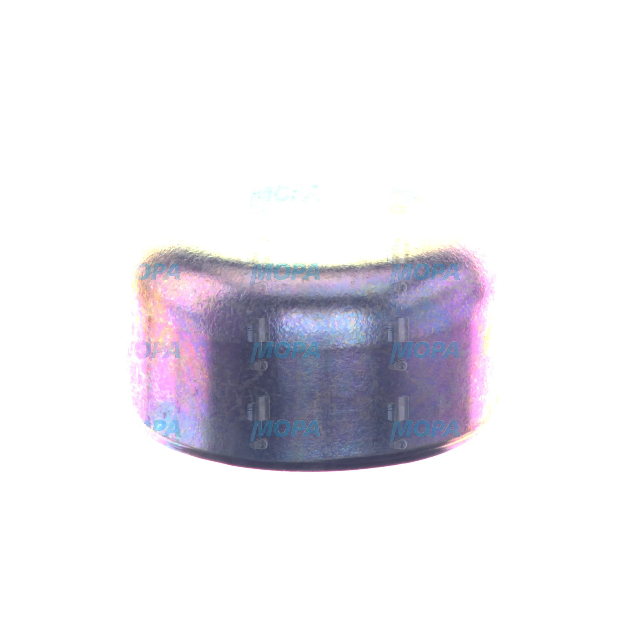 CAP - 1420505033 suitable for Bosch engines