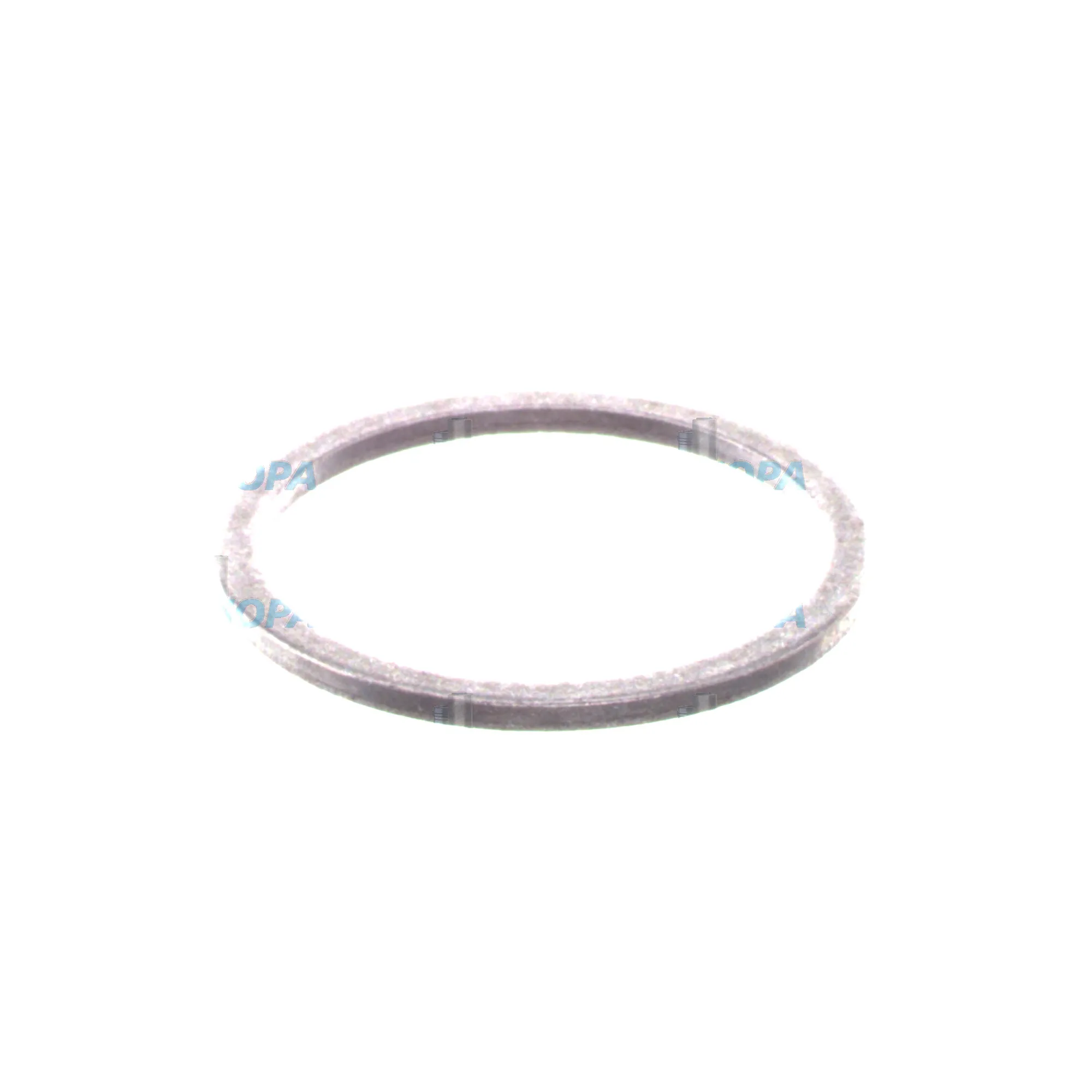 DICHTRING - 2916710506 passend für Bosch Motoren 8