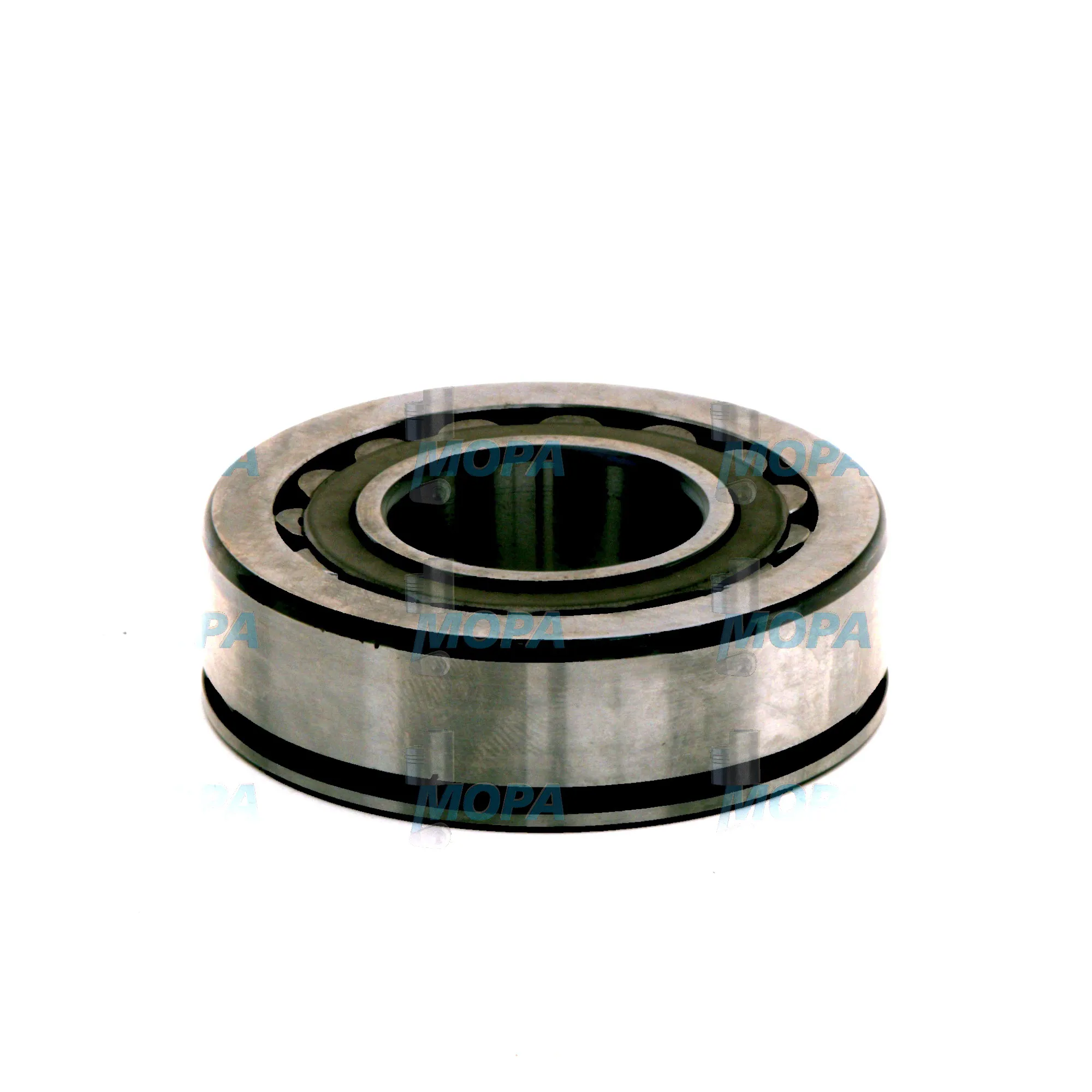 PENDELROLLENLAGER - 2410910005 passend für Bosch Motoren 7