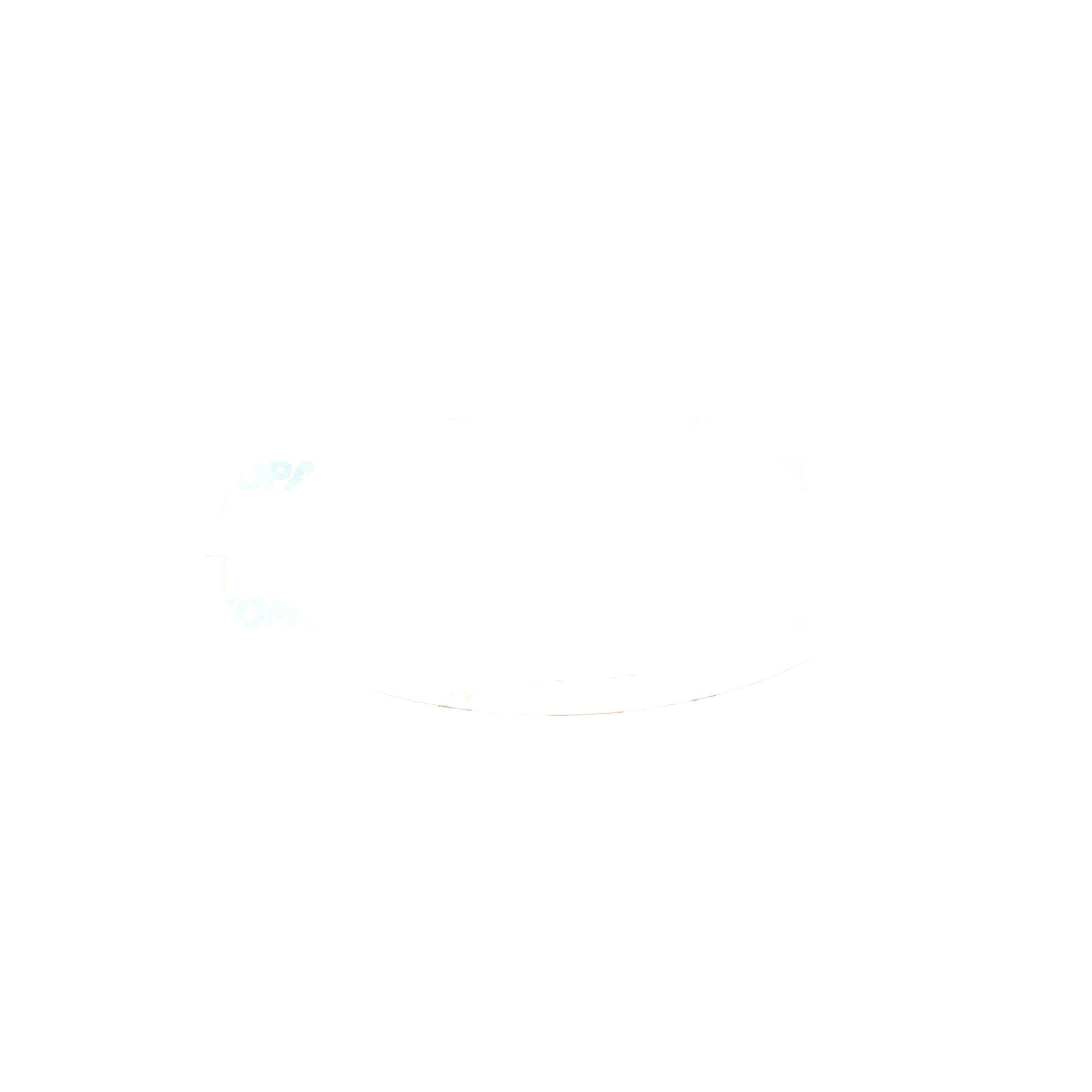 PASSSCHEIBE - 8692040113 passend für MTU Motoren