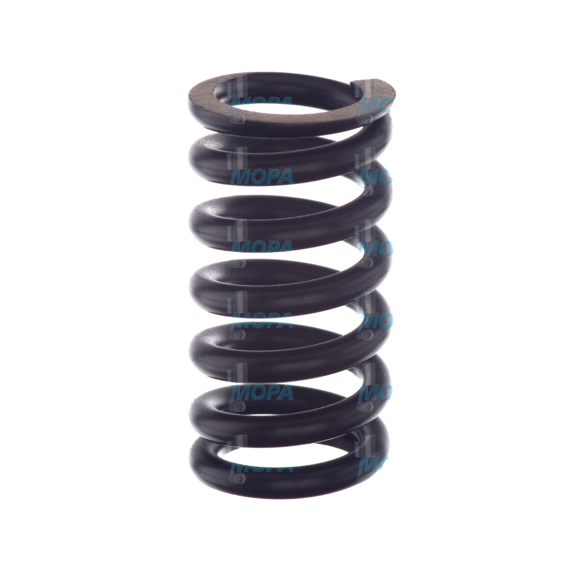 DRUCKFEDER - 2424619066 passend für Bosch Motoren 5
