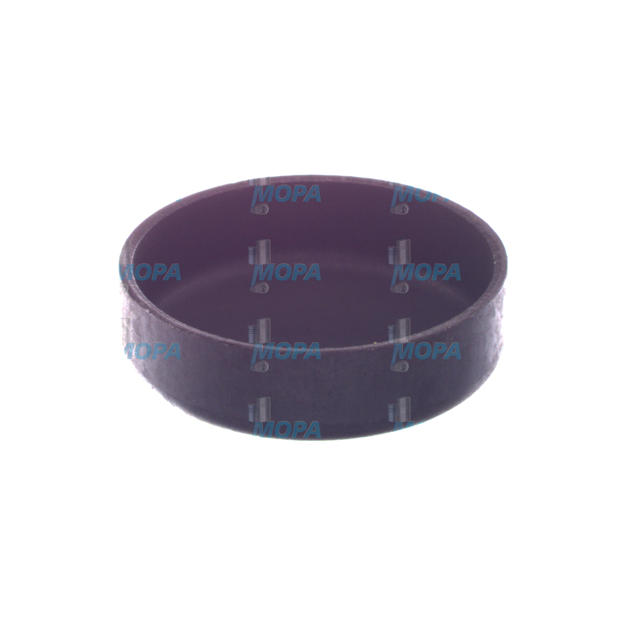 KERNLOCHVERSCHLUSS - 01165839 passend für Deutz Motoren