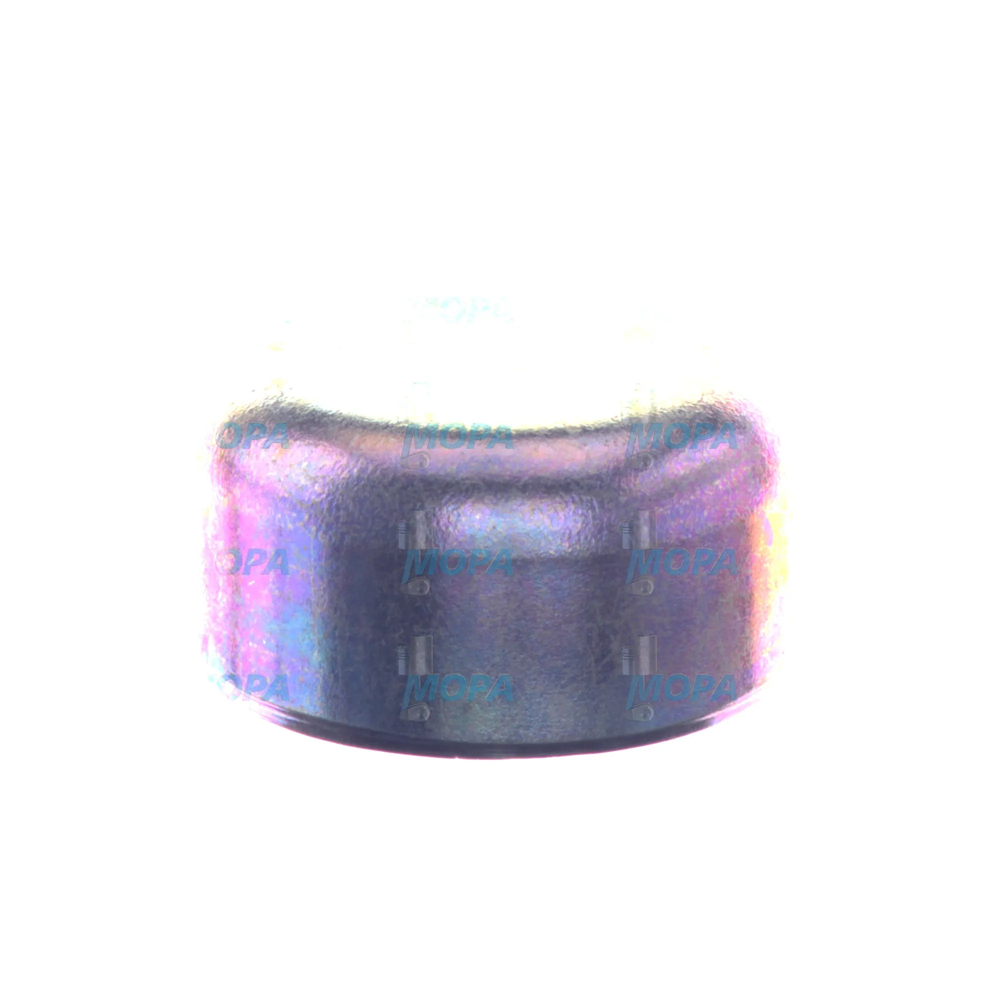 CAP - 1420505033 suitable for Bosch engines 4