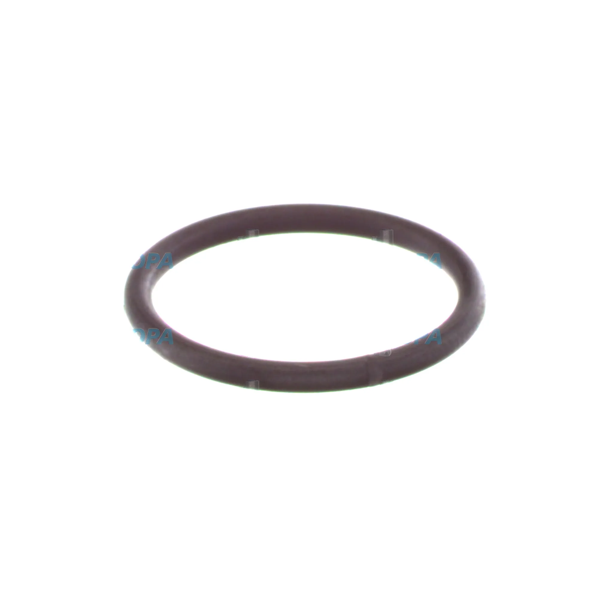 SPRENGRING - 2434601005 passend für Bosch Motoren 6