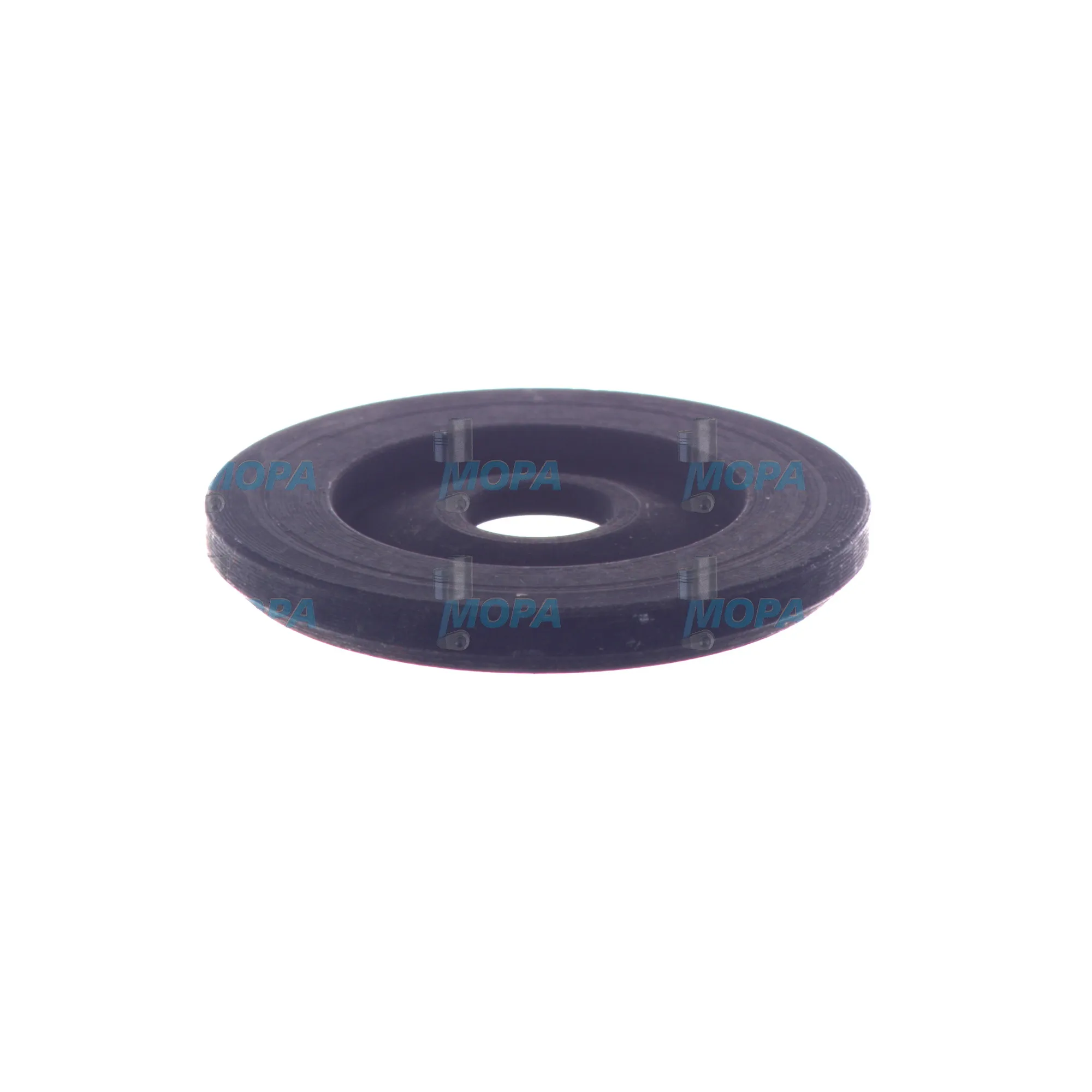 DICHTSCHEIBE - EPMS86P1X313 passend für Bosch Motoren