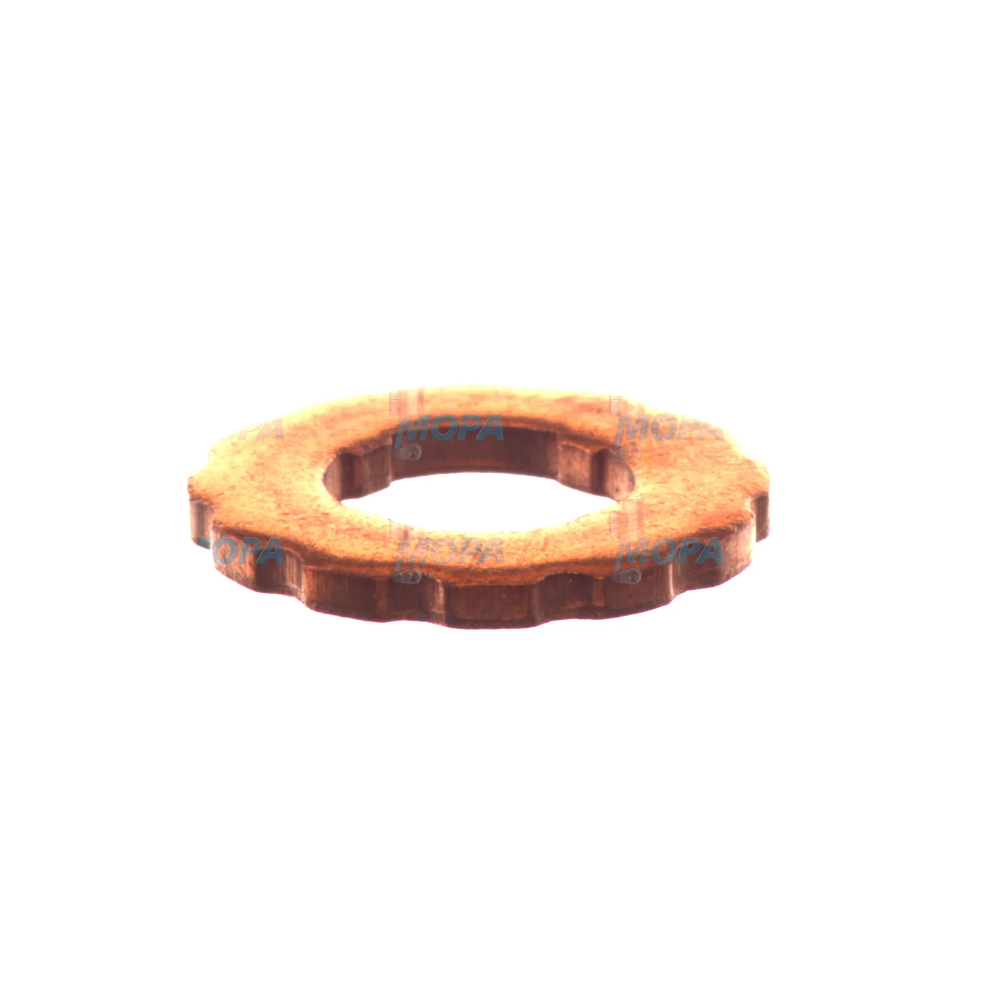 SEALING RING - F00RJ02175 suitable for Bosch engines