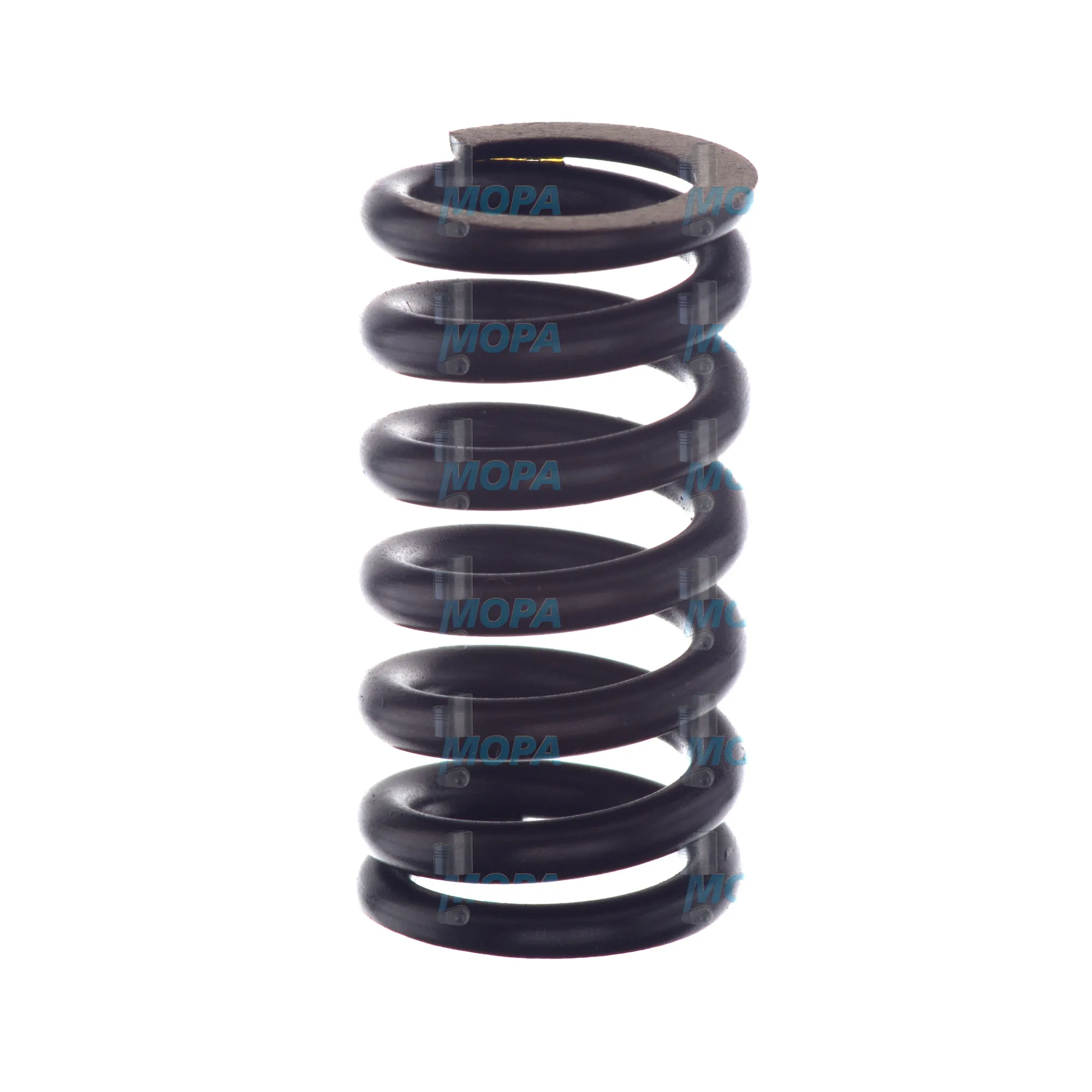 DRUCKFEDER - 2424619066 passend für Bosch Motoren 4