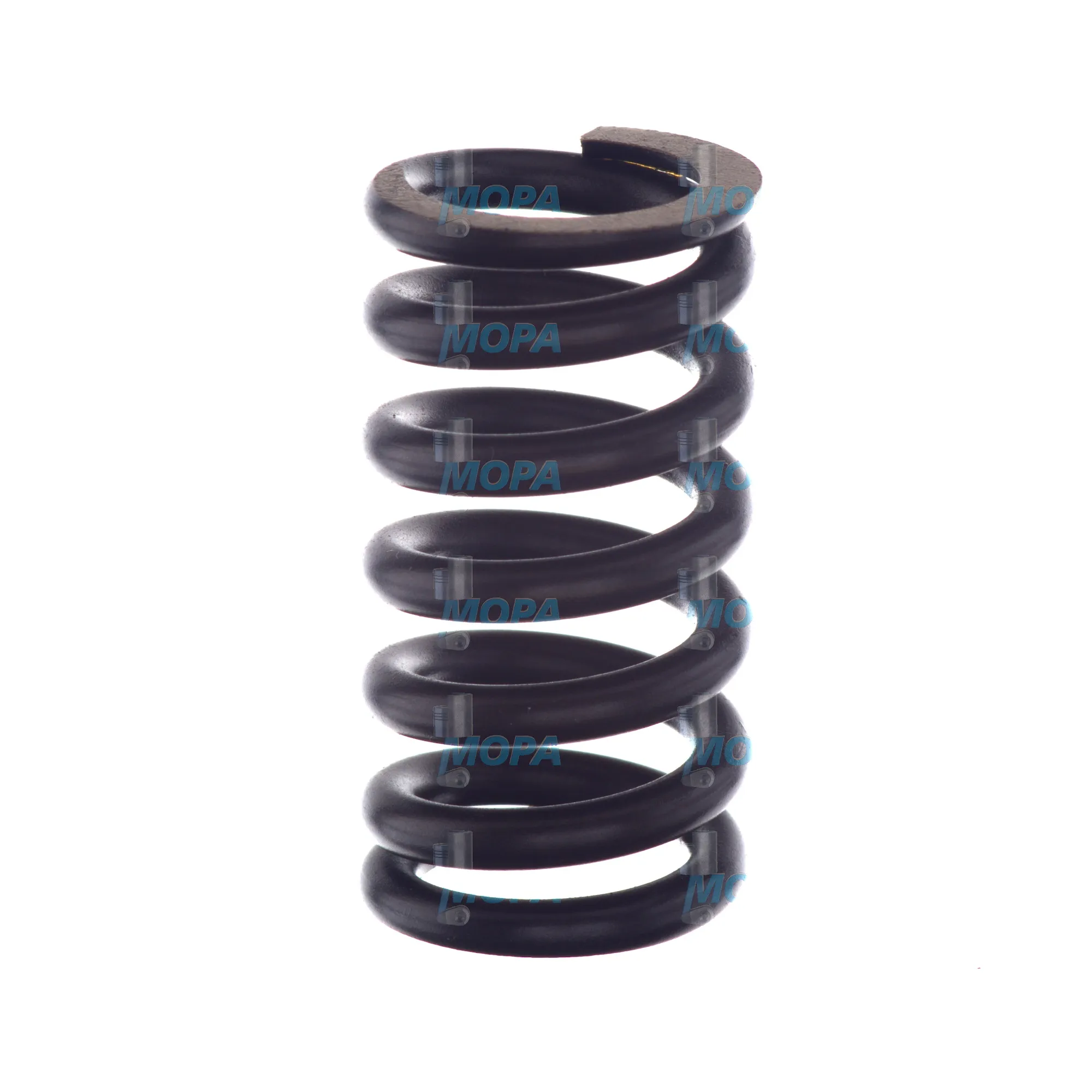 DRUCKFEDER - 2424619066 passend für Bosch Motoren