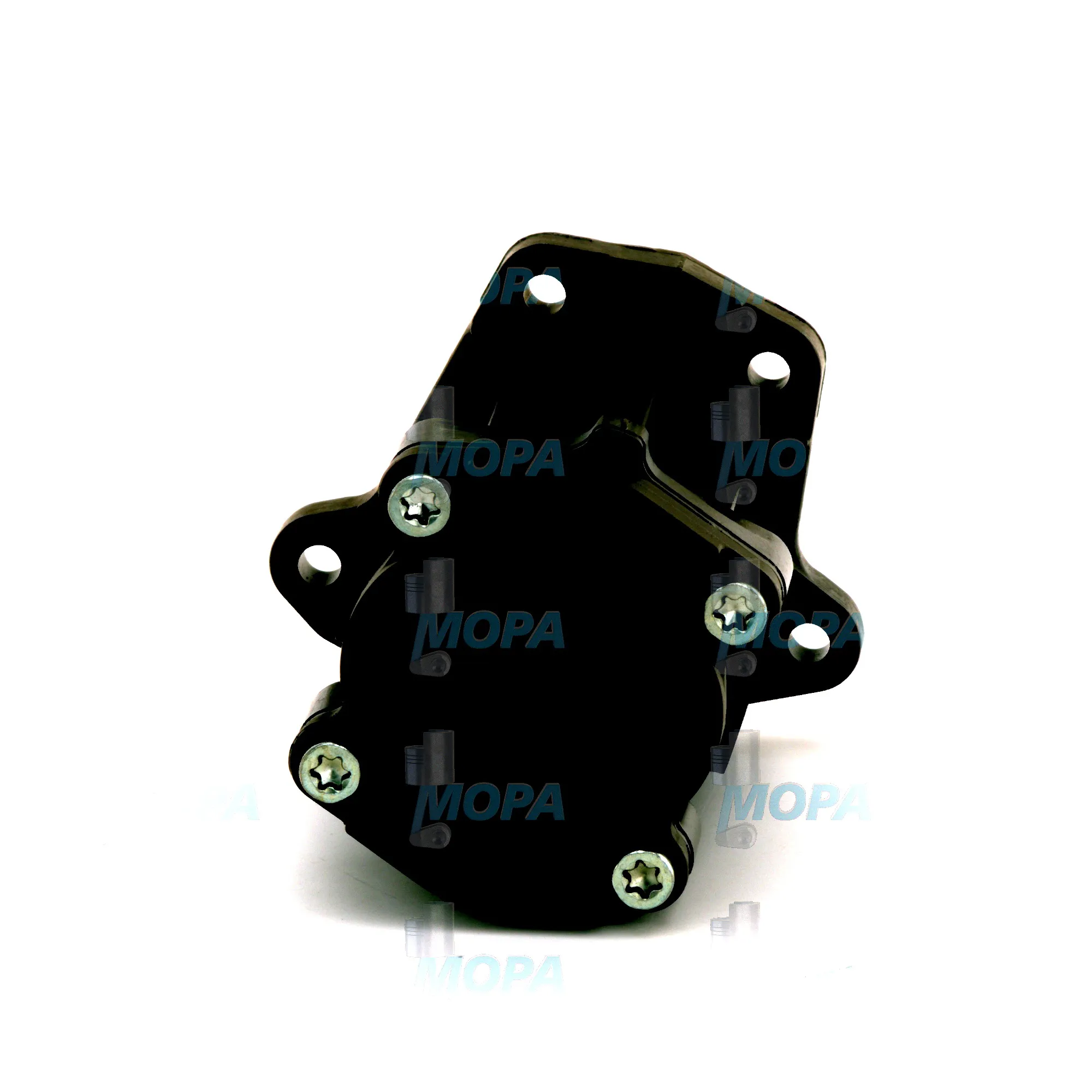 ZAHNRADPUMPE - 2445110579 passend für Bosch Motoren 3