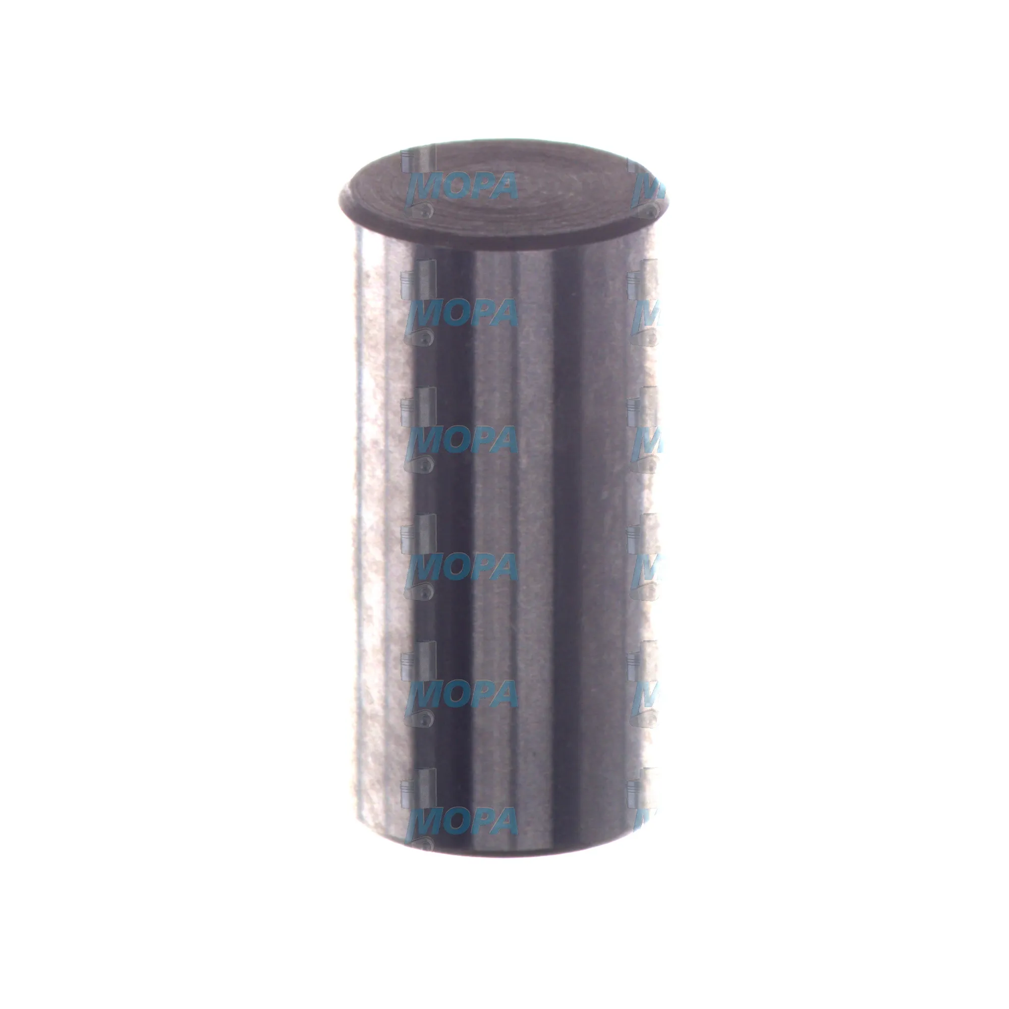 BOLZEN - 2443100015 passend für Bosch Motoren 7
