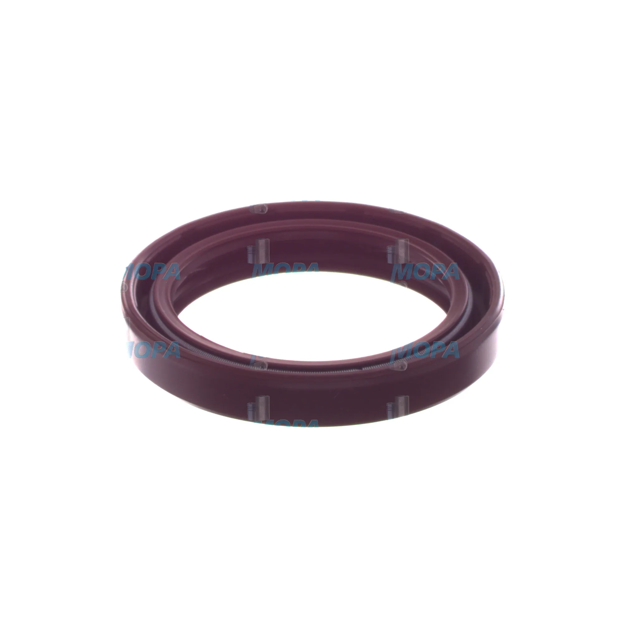 WELLENDICHTRING - 2410283018 passend für Bosch Motoren 6