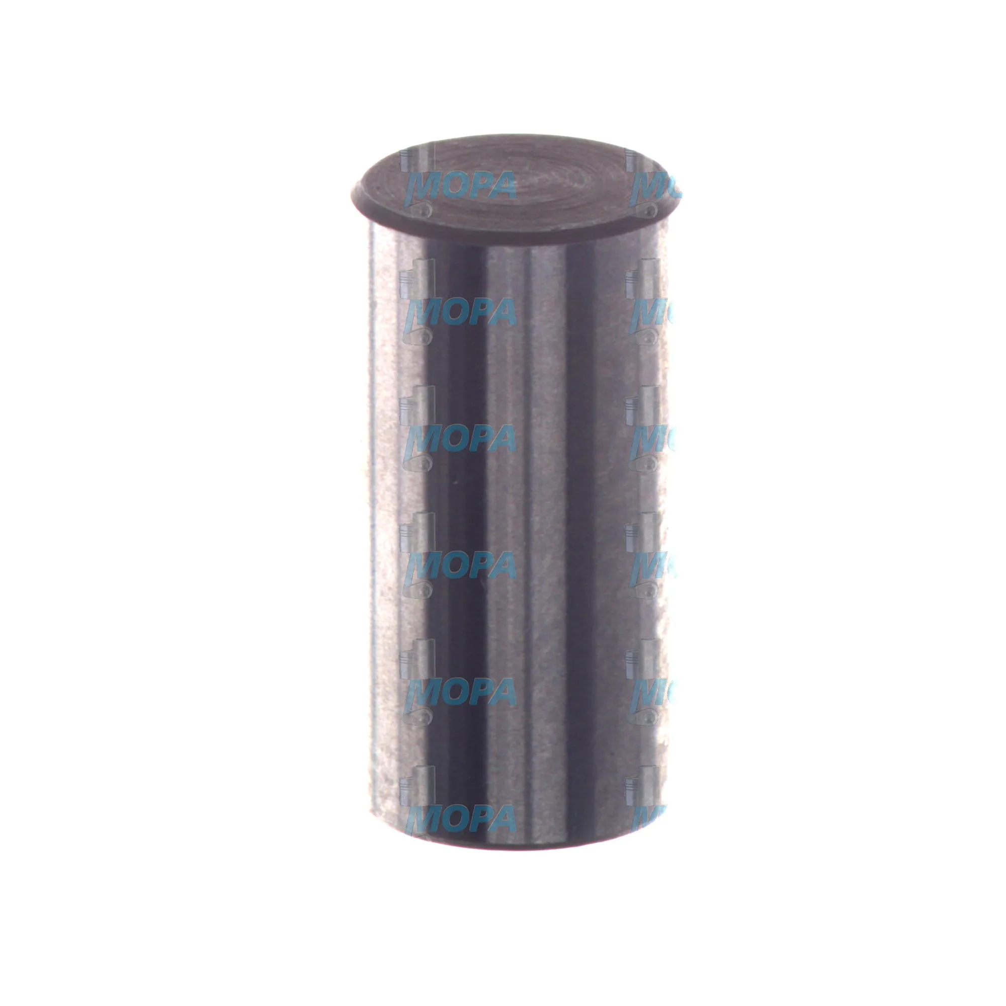 BOLZEN - 2443100015 passend für Bosch Motoren 4