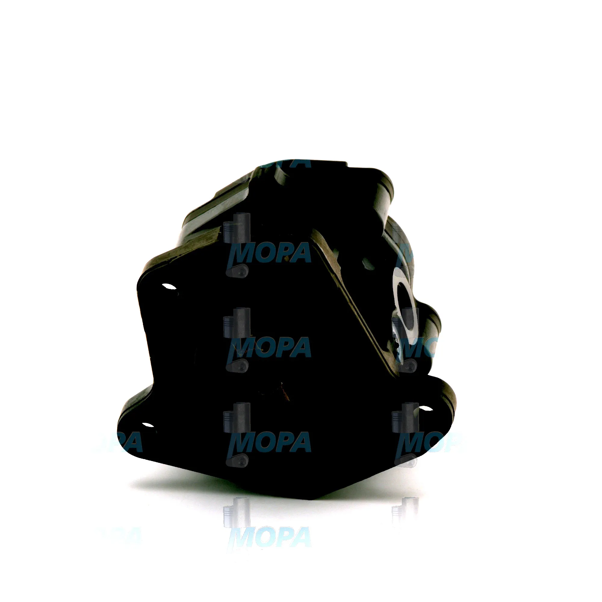 ZAHNRADPUMPE - 2445110579 passend für Bosch Motoren 6