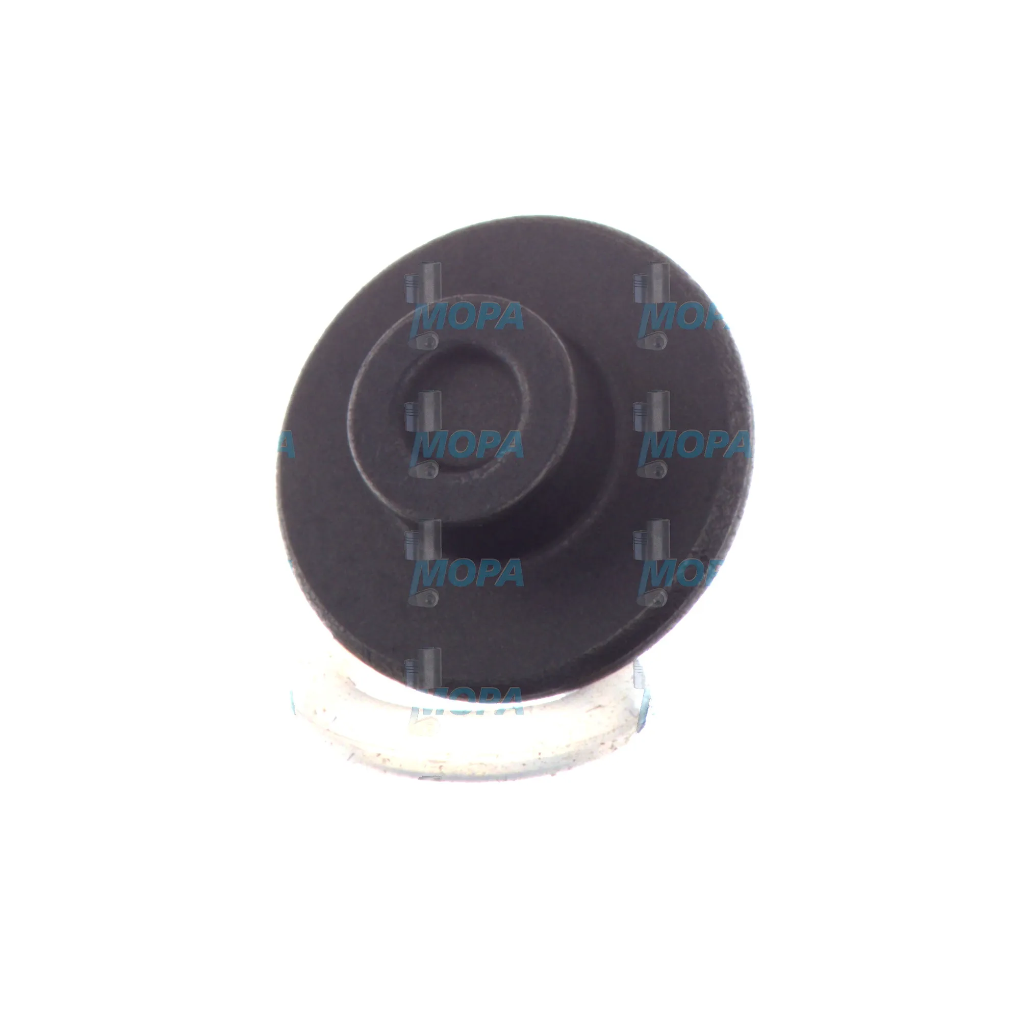 BOLZEN - 2433124137 passend für Bosch Motoren 5