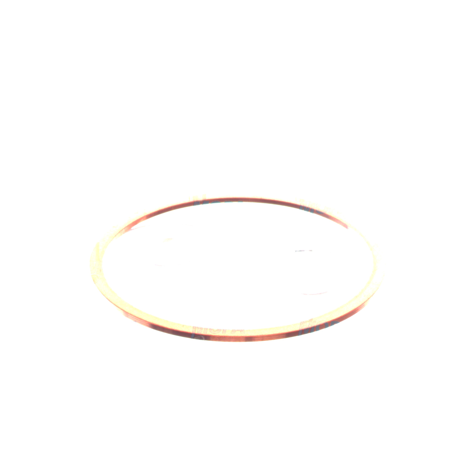 DICHTRING - 8691700120 passend für MTU Motoren