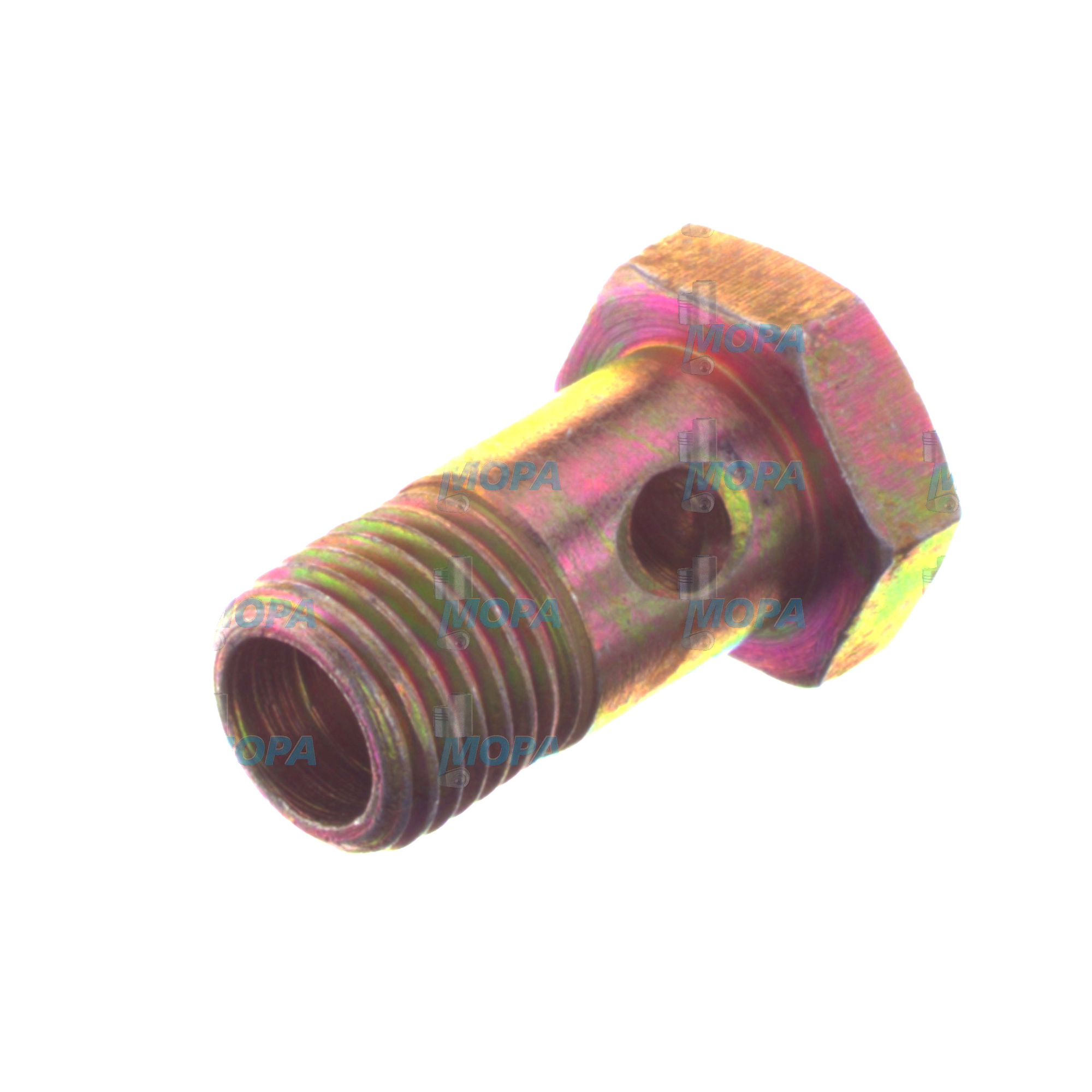 HOHLSCHRAUBE - 2911208703 passend für Bosch Motoren