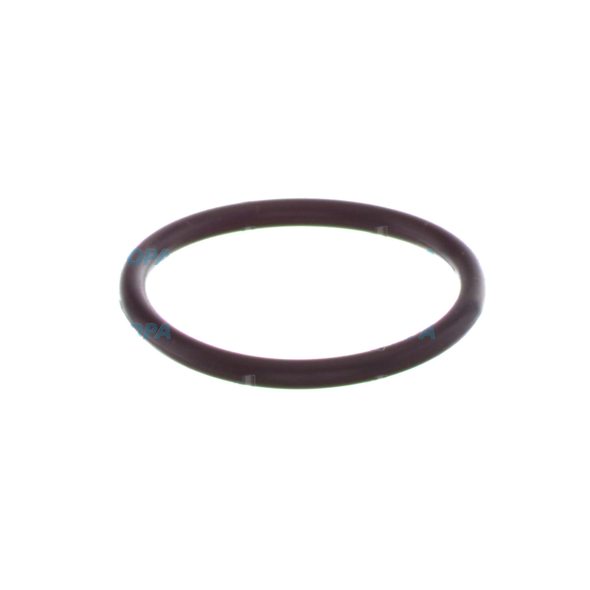 TORIC SEAL - 1900210118 suitable for Bosch engines