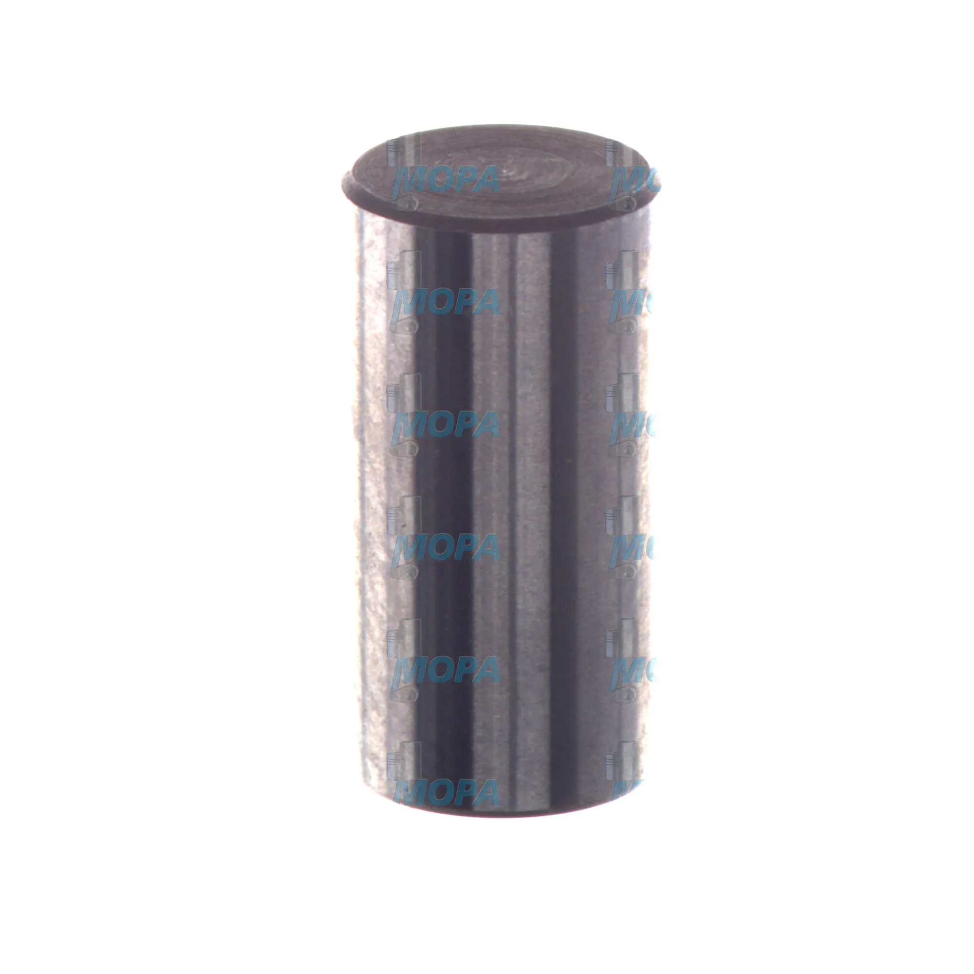 BOLZEN - 2443100015 passend für Bosch Motoren 3
