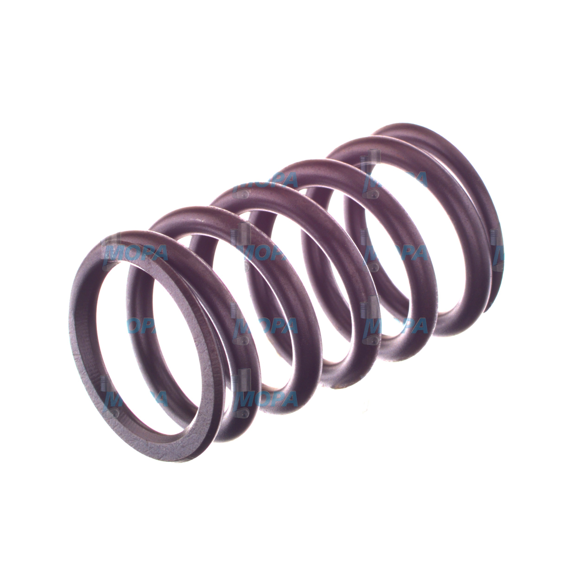 DRUCKFEDER - 2414619009 passend für Bosch Motoren