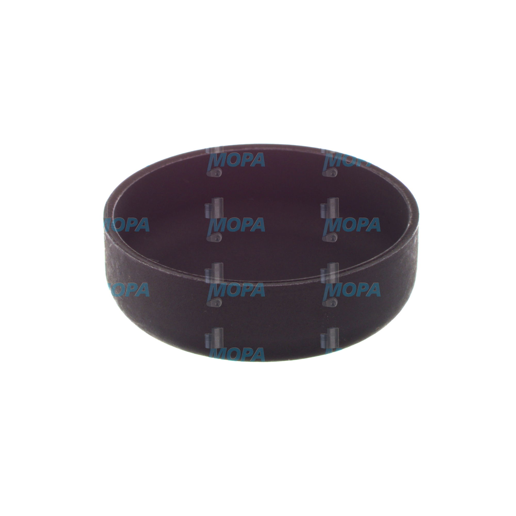 KERNLOCHVERSCHLUSS - 01165841 passend für MWM & Deutz Motoren