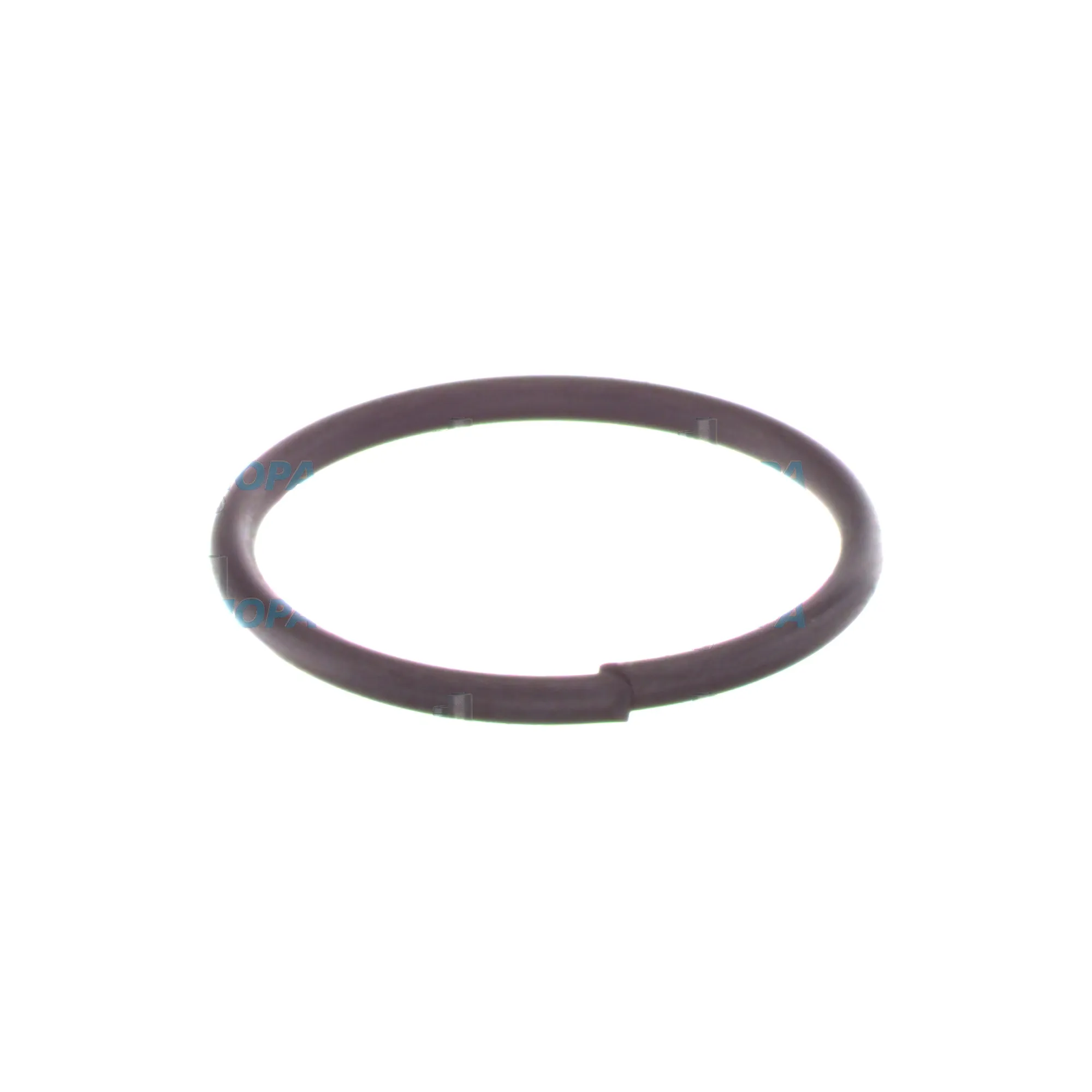 SPRENGRING - 2434601006 passend für Bosch Motoren 8