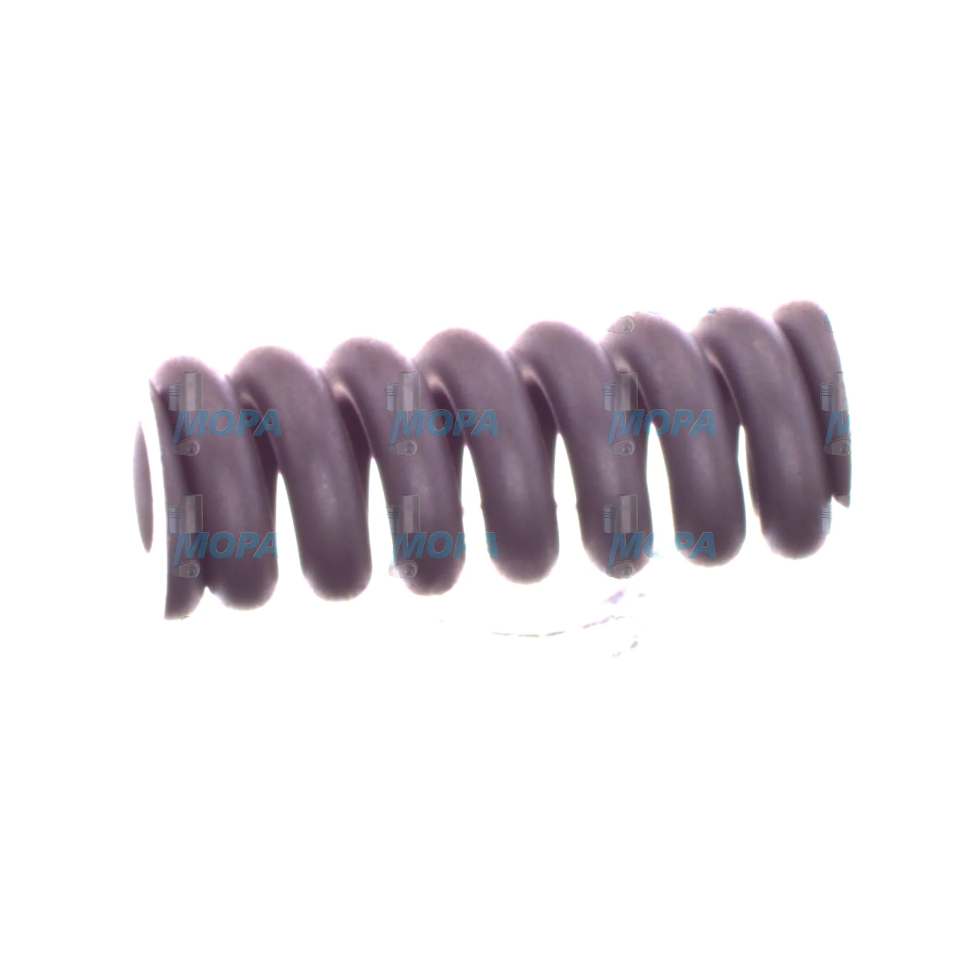 DRUCKFEDER - 2434619047 passend für Bosch Motoren 5