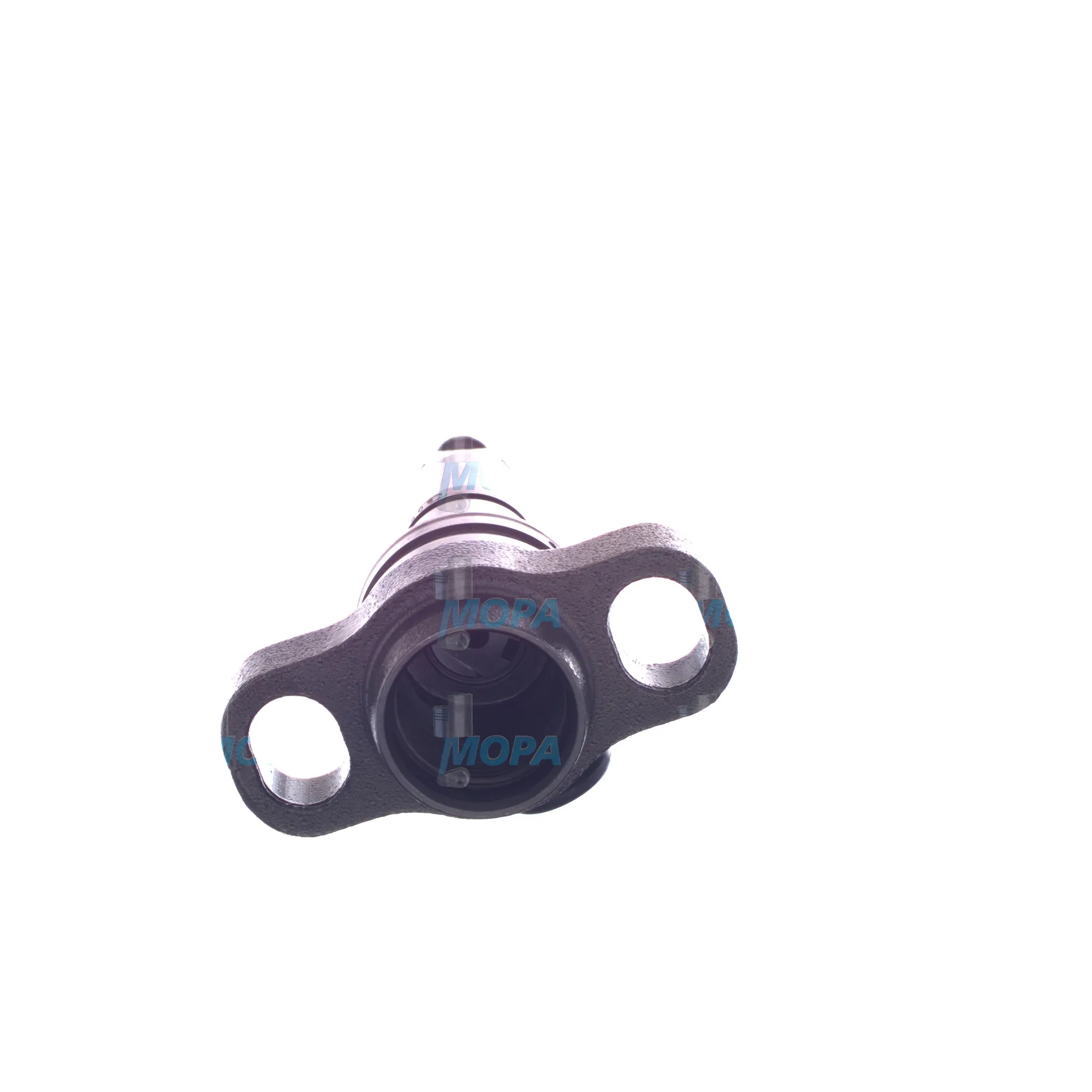 PUMPING ELEMENT - 2418455196 suitable for Bosch engines 4
