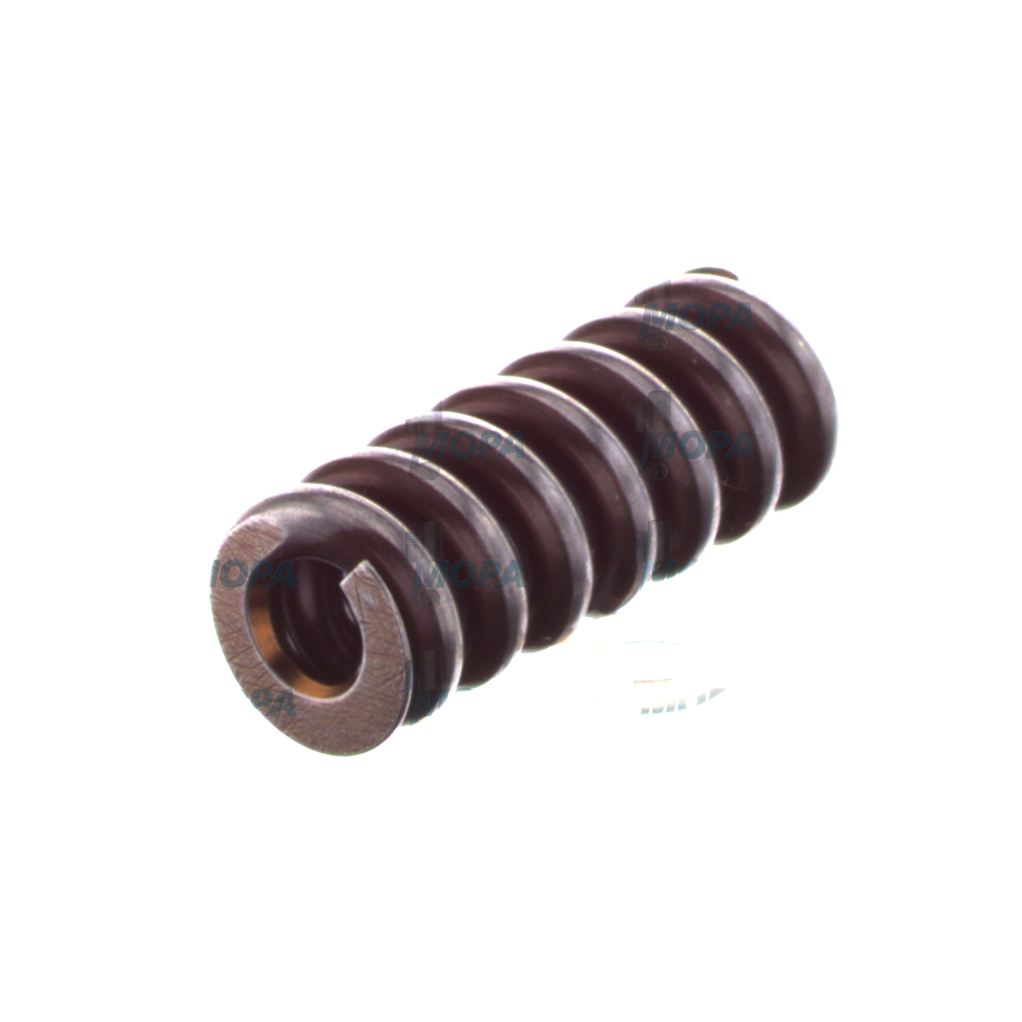 COMPRESSION SPRING - 2434619043 suitable for Bosch engines