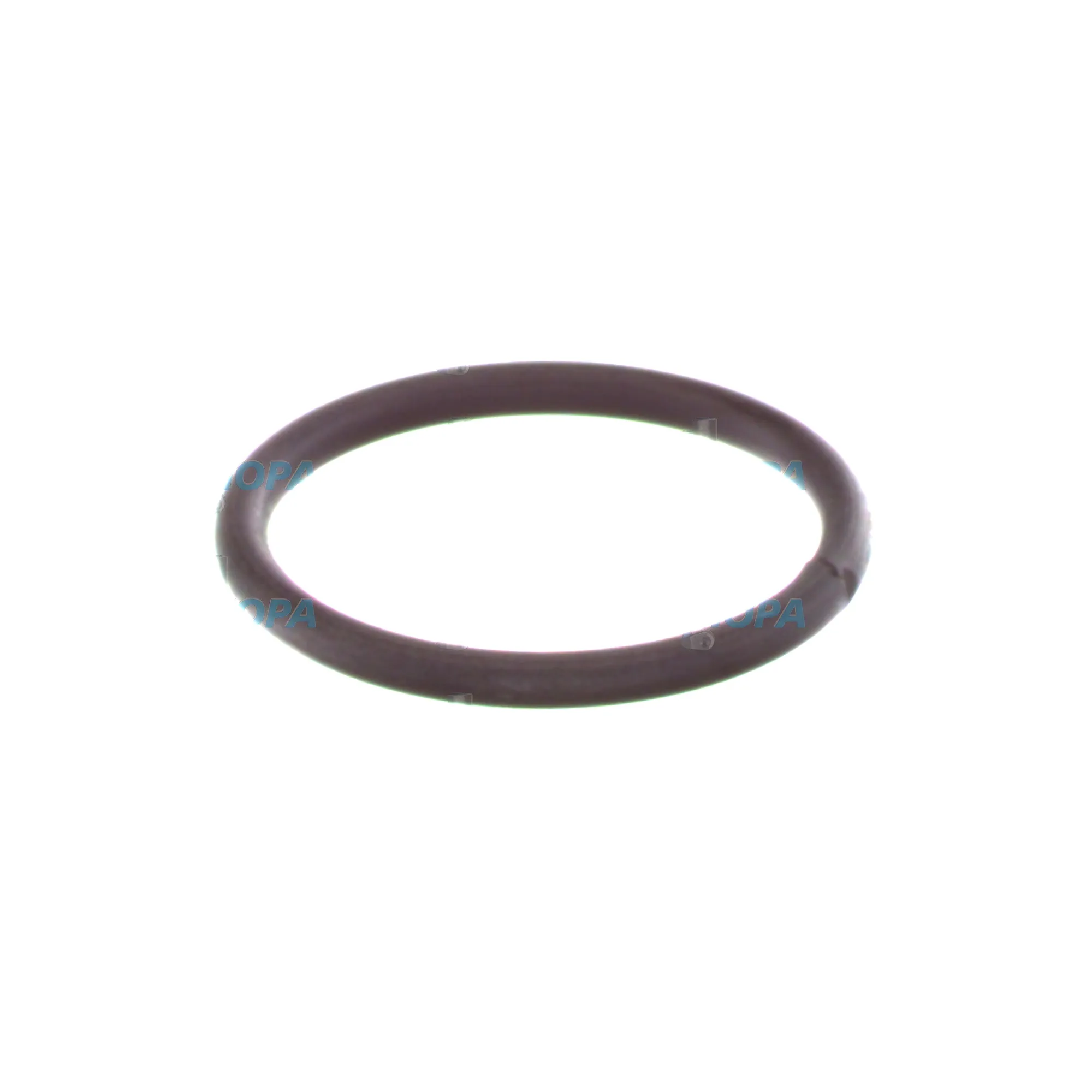 SPRENGRING - 2434601005 passend für Bosch Motoren 5