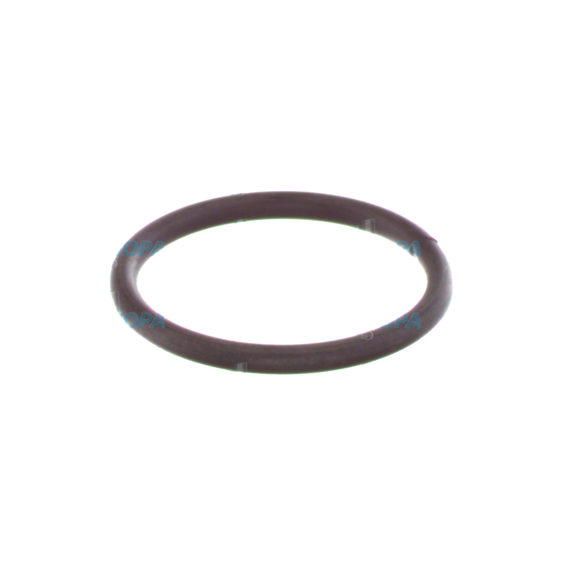 SPRENGRING - 2434601005 passend für Bosch Motoren