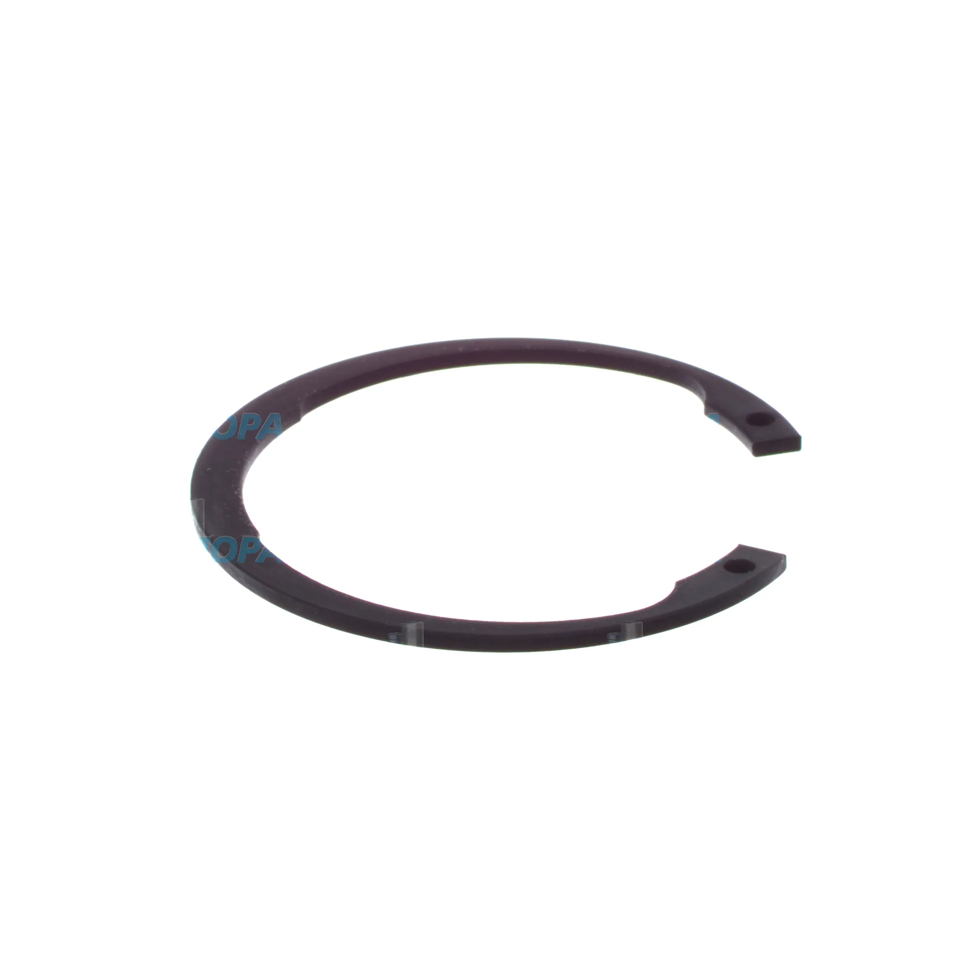 SPRENGRING - 2916660025 passend für Bosch Motoren 8