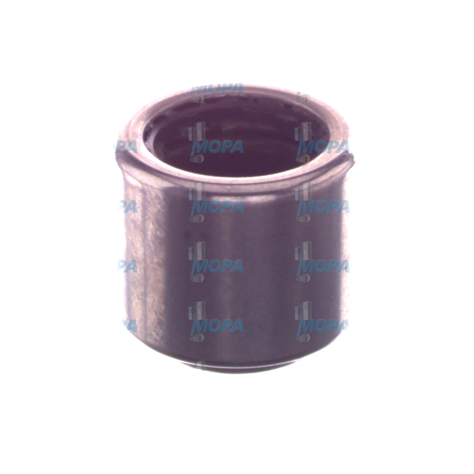 NADELLAGER - 8699810036 passend für MTU Motoren