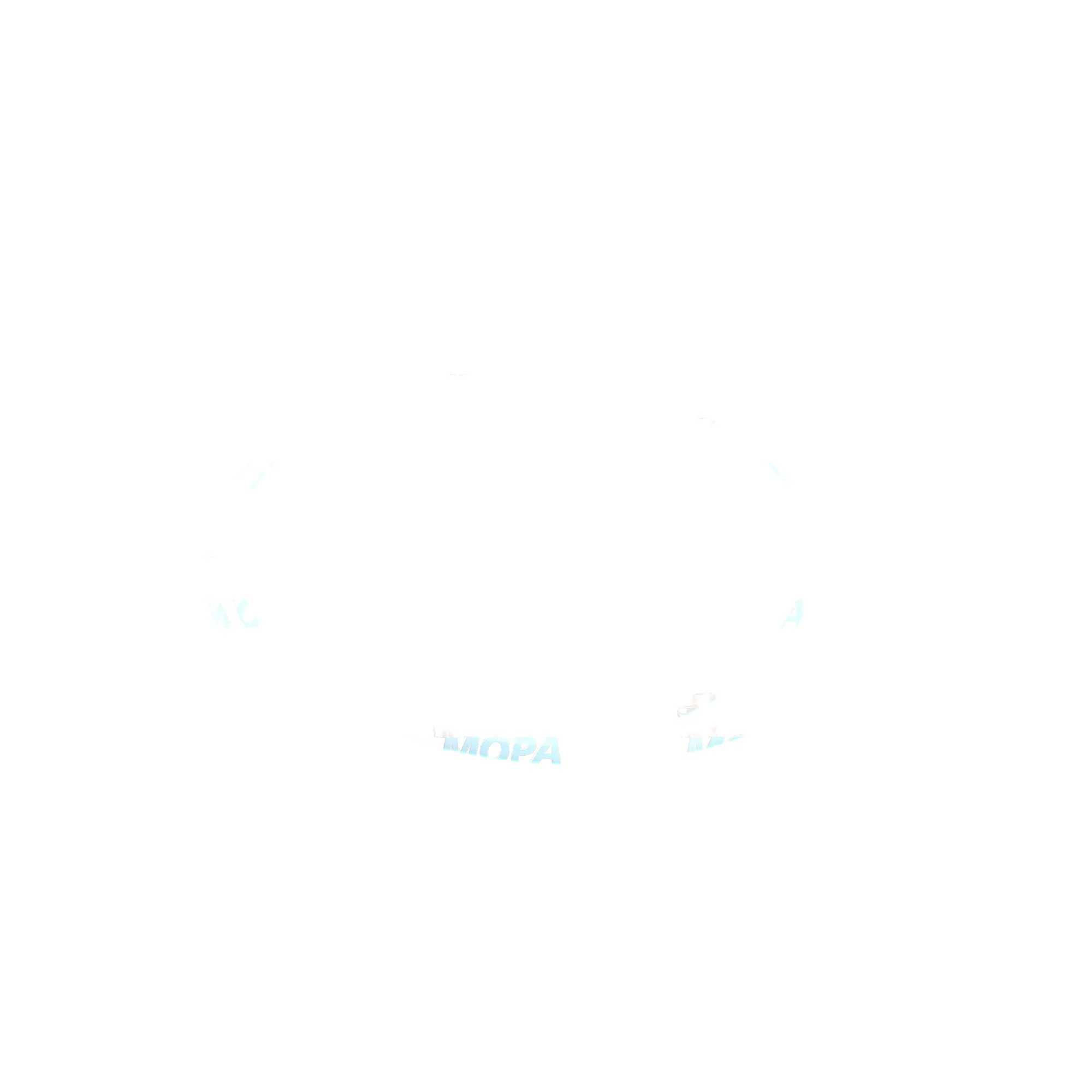 SUPPORT RING - 628/15/24/05025952 suitable for MWM & Deutz engines 5
